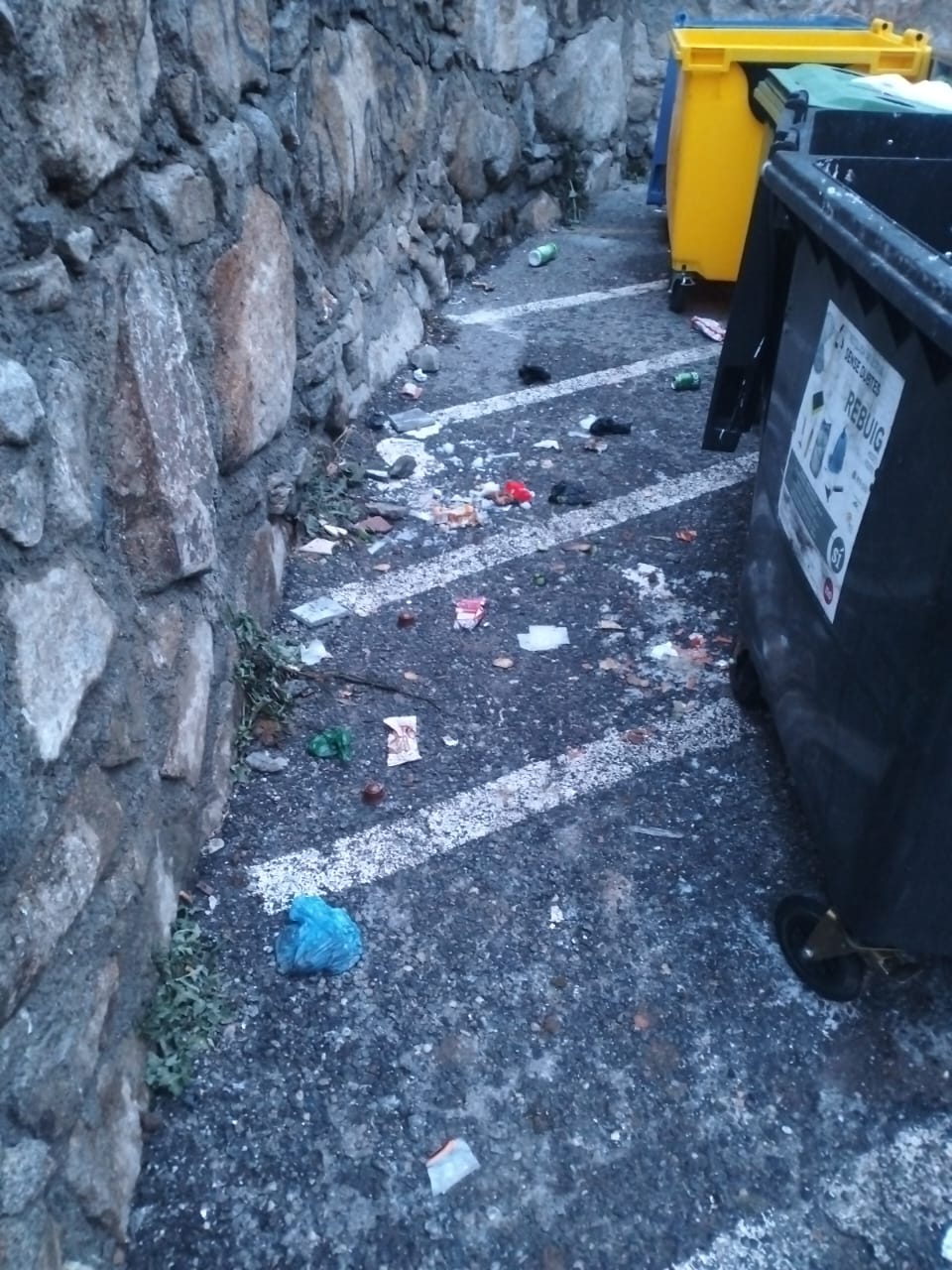 Estat que presenta espais públics en les immediacions del carrer de les Arribes.