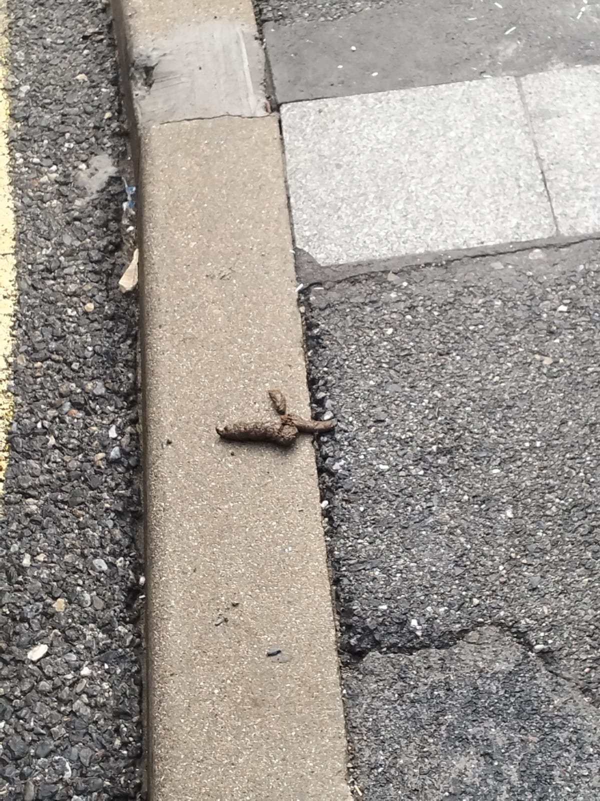 Estat que presenta espais públics en les immediacions del carrer de les Arribes.