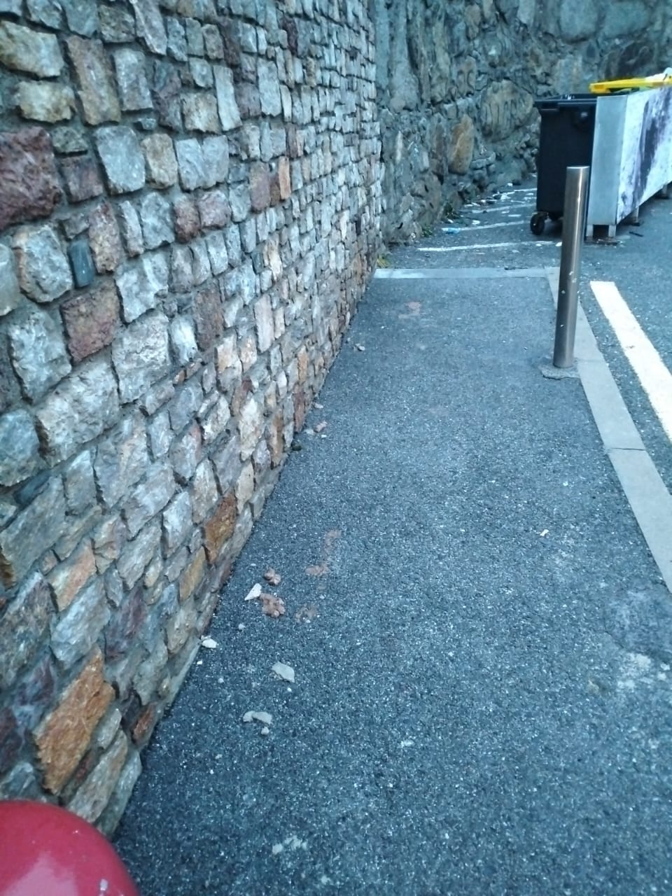 Estat que presenta espais públics en les immediacions del carrer de les Arribes.