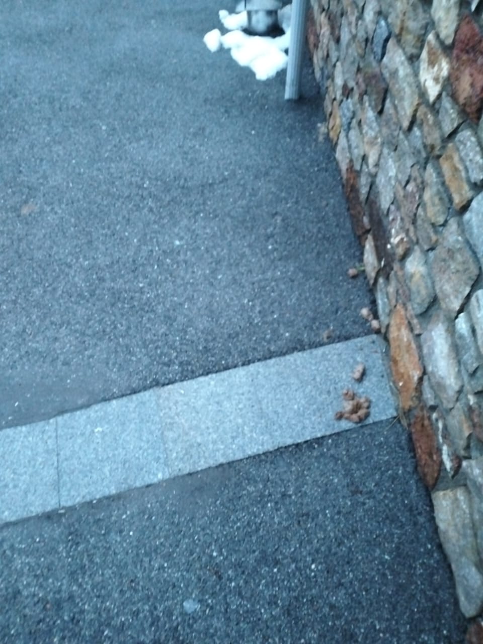 Estat que presenta espais públics en les immediacions del carrer de les Arribes.