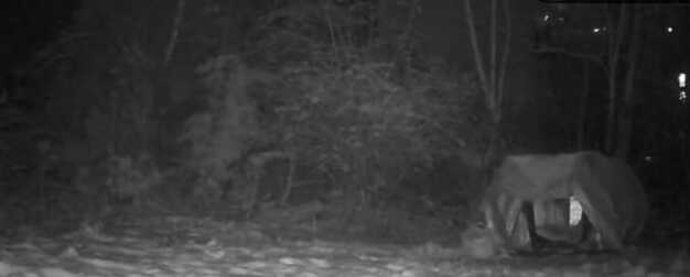 WhatsApp Image 2026 01 21 at 06.56.52 (1)