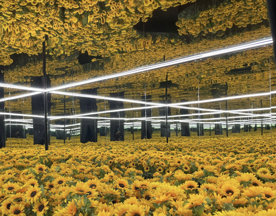 L’efecte òptic dels gira-sols i els miralls. L’efecte òptic dels gira-sols i els miralls.