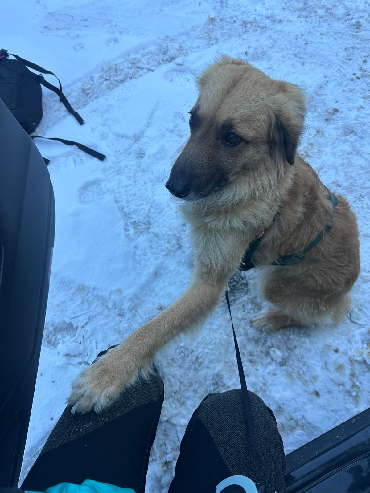 En Xiri una vegada recuperat.