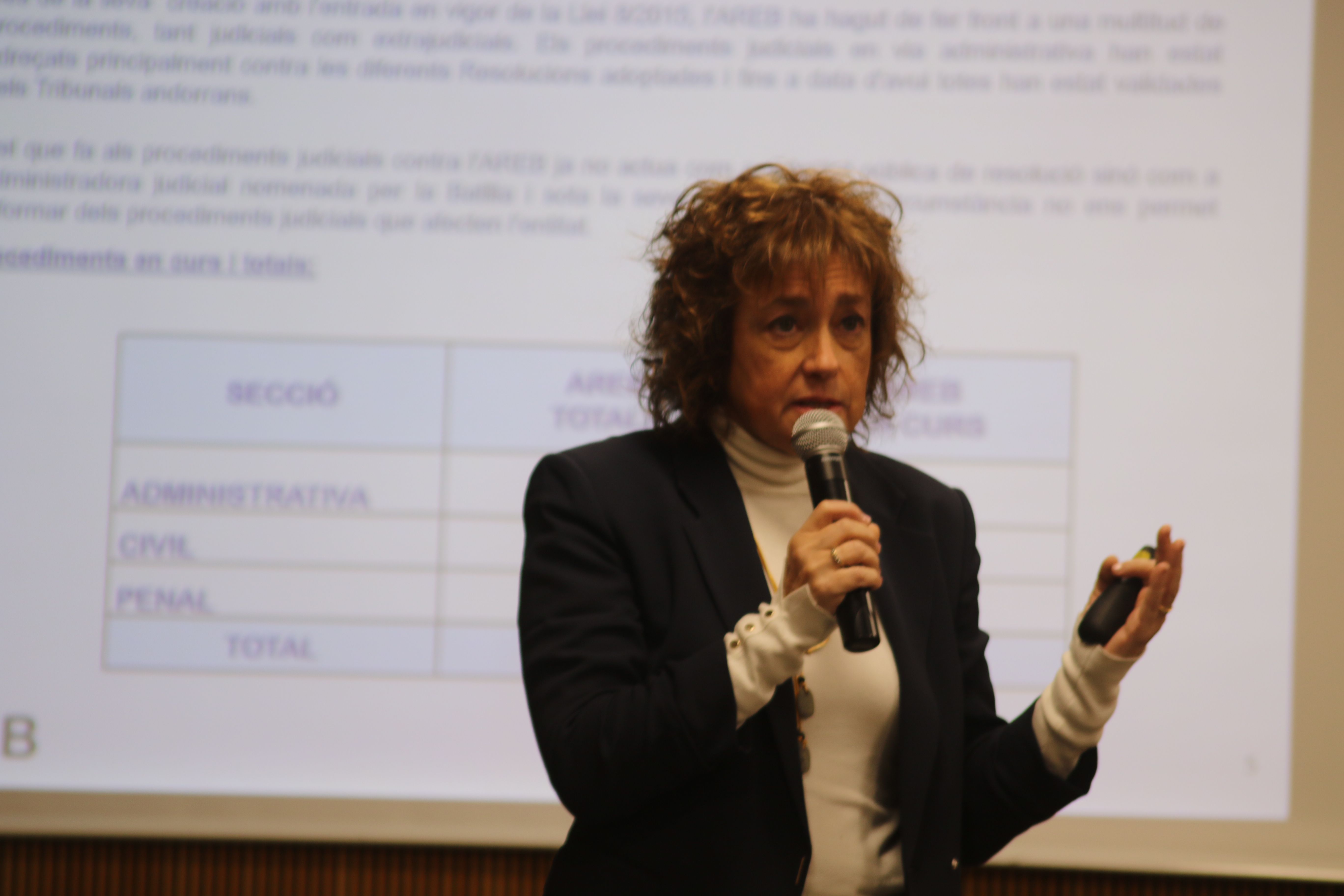 Sílvia Cunill donant explicacions a la comissió legislativa de Finances.