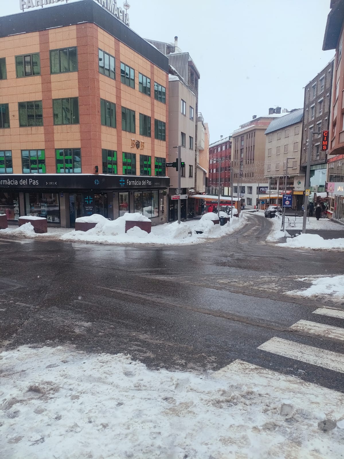 WhatsApp Image 2026 01 31 at 11.15.29