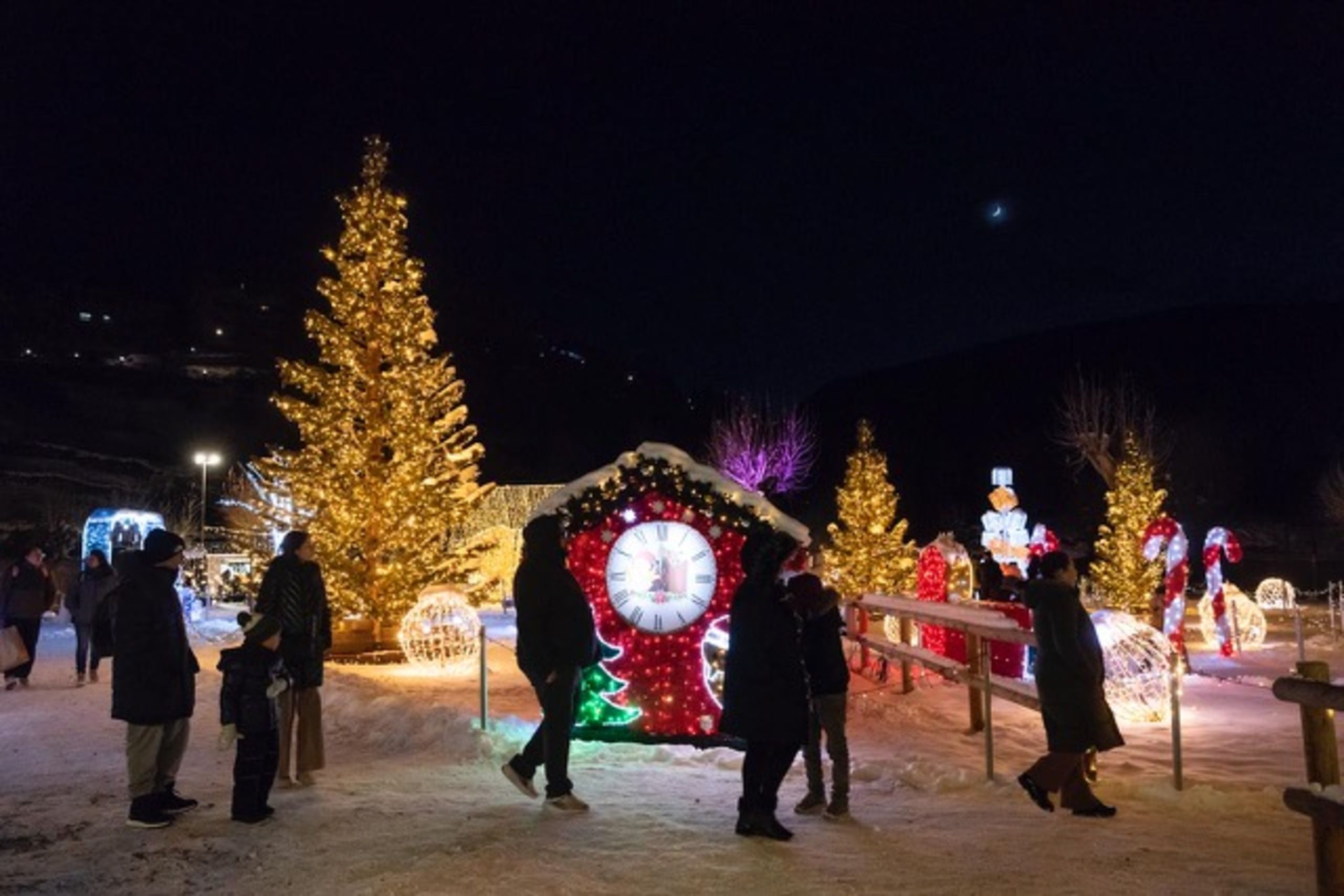 Visitants al Canillo Brilla.