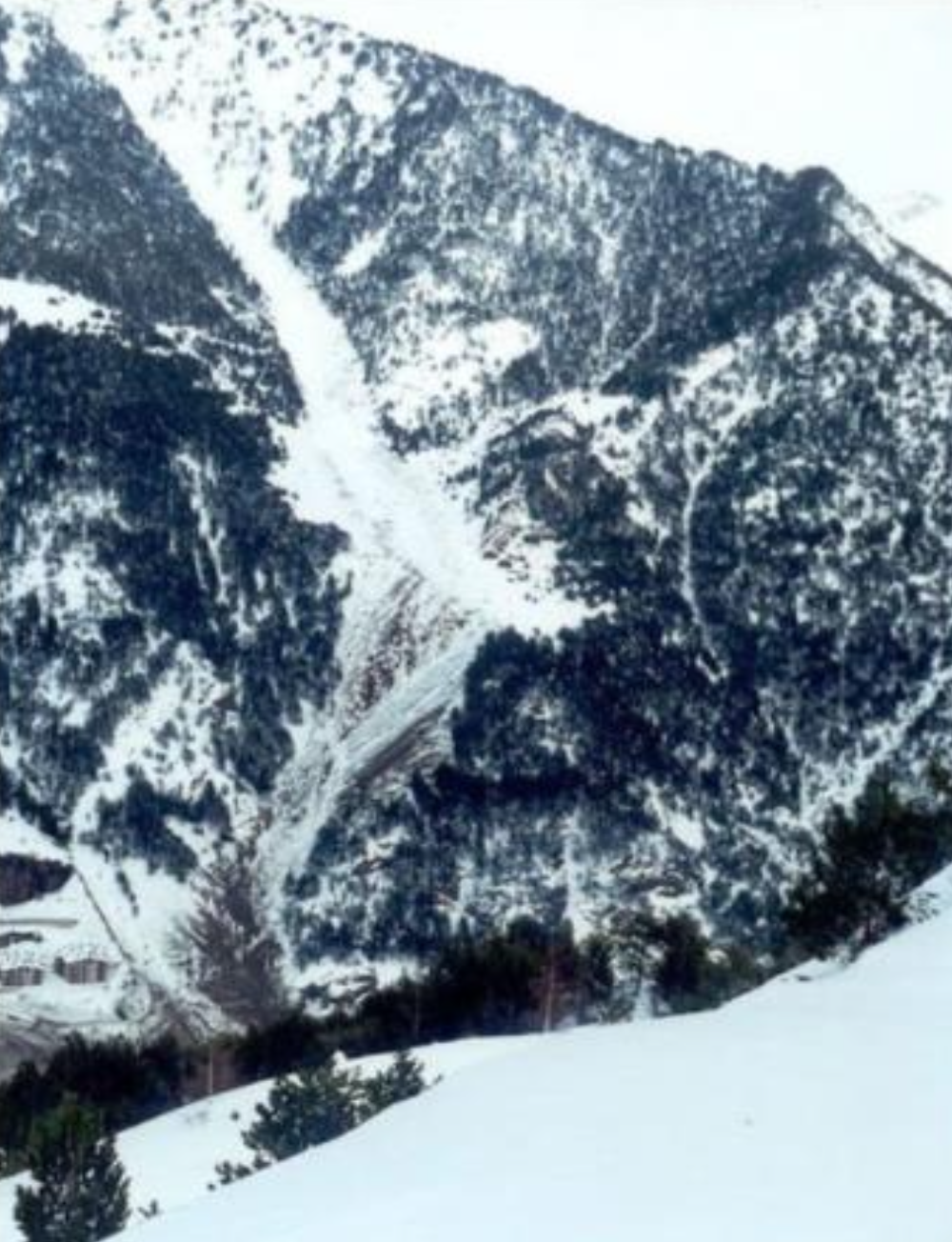 Captura de pantalla 2026 02 08 a las 15.58.16