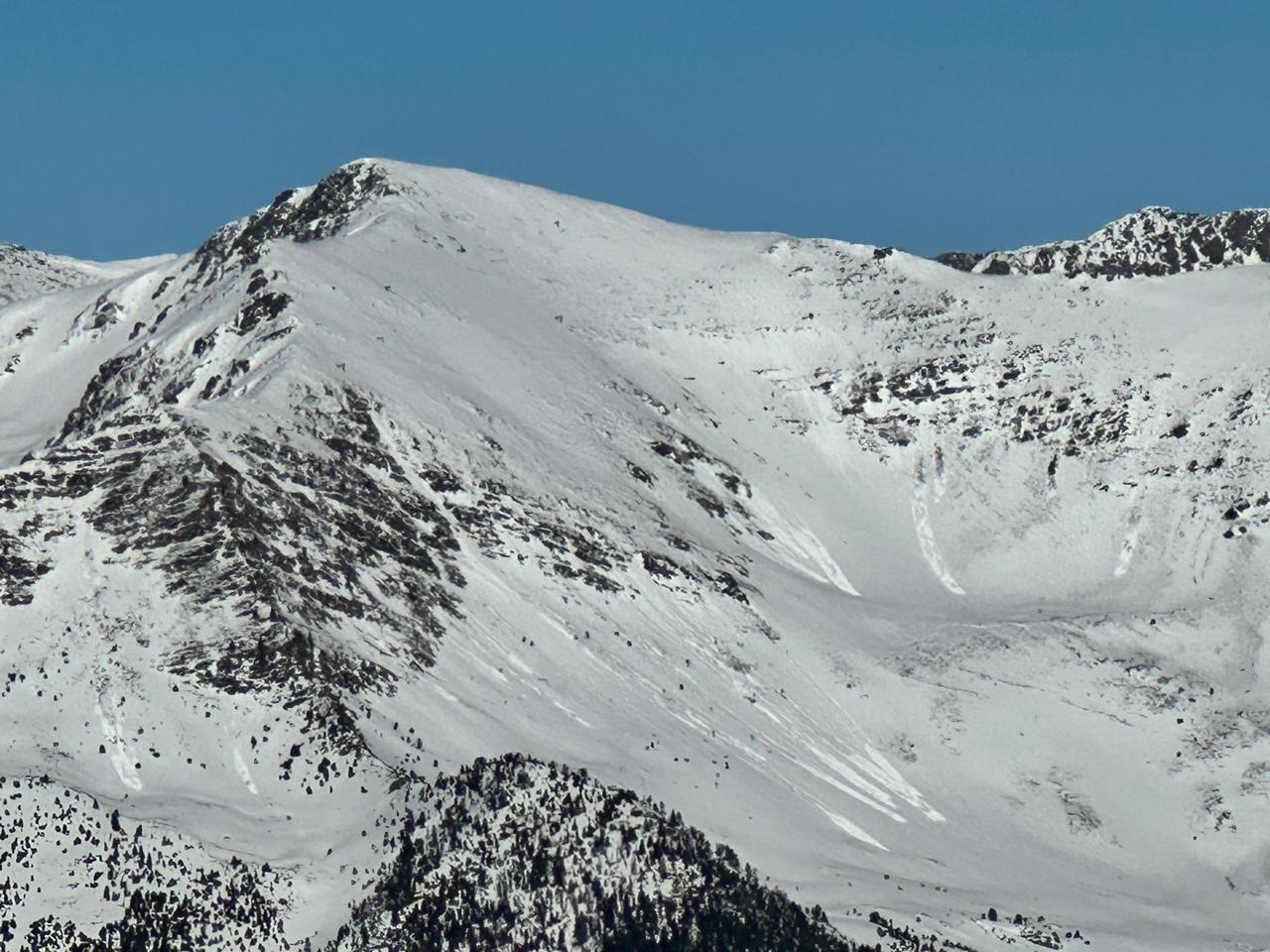 WhatsApp Image 2026 02 08 at 10.04.14 (1)