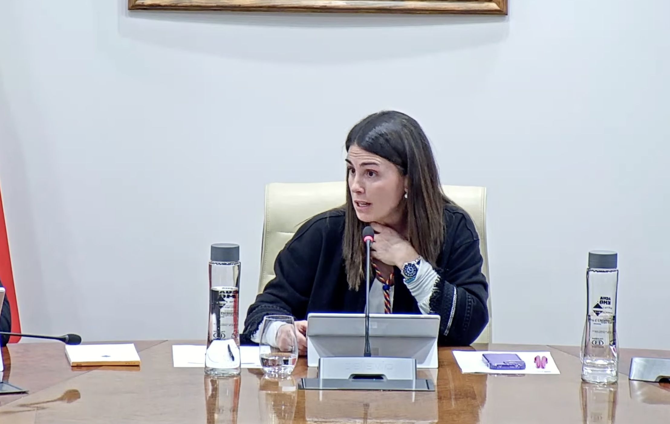 Laura Mas, durant la sessió de comú.