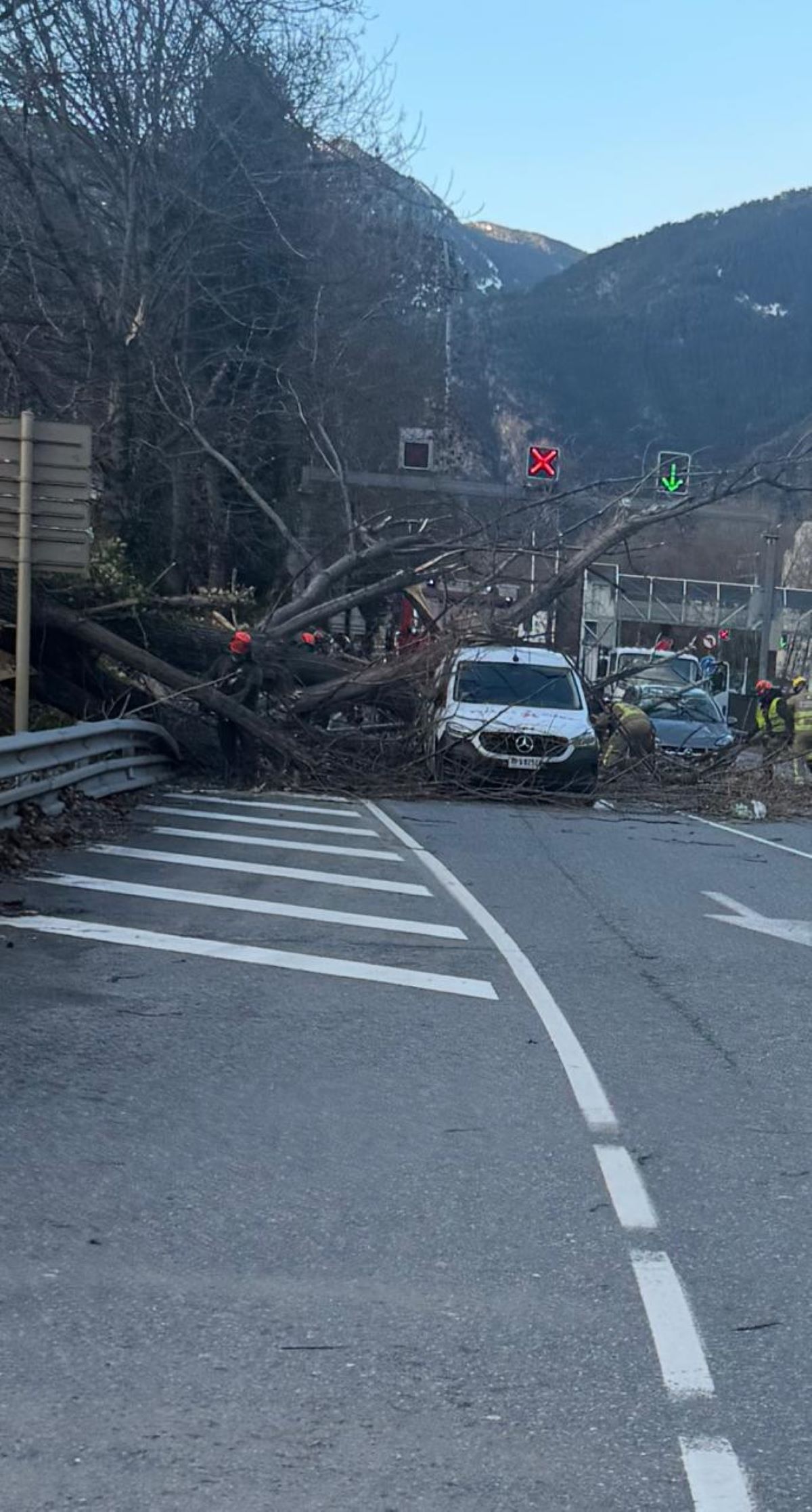 Els arbres han caigut sobre la carretera i han afectat alguns vehicles.