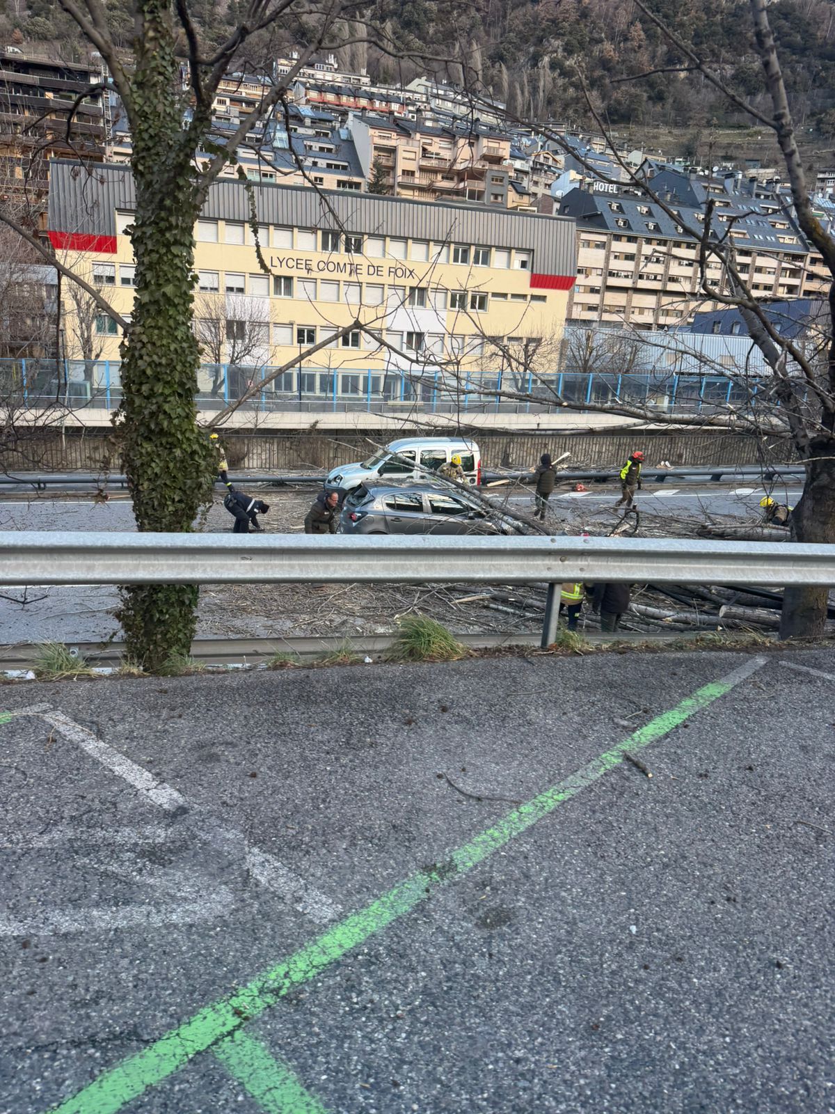 L'arbre caigut a l'avinguda de Salou.