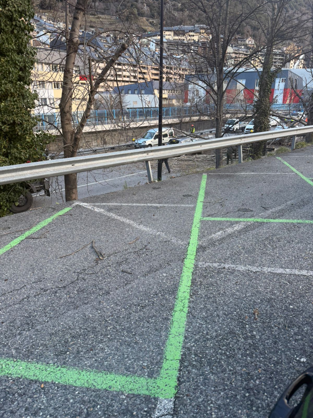 L'arbre caigut a l'avinguda de Salou.