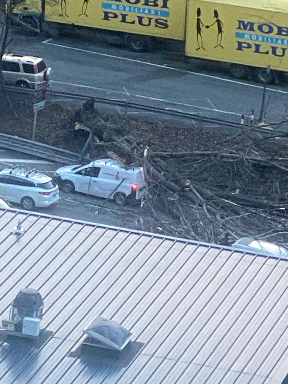 Imatges de la caiguda d'arbres a l'avinguda de Salou.