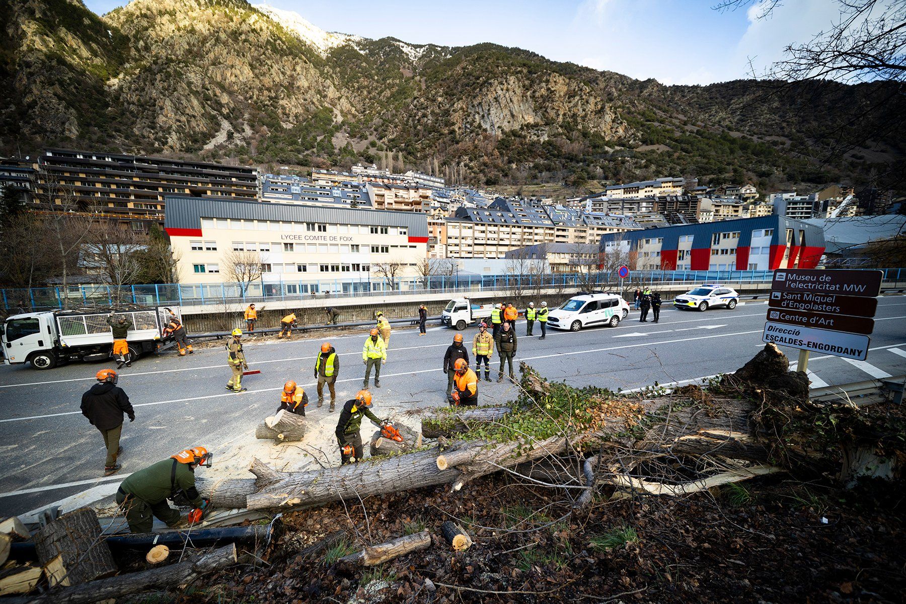 Treballadors del comú i bombers fent tasques de neteja a la CG-1 i tal·lant l'arbre caigut.