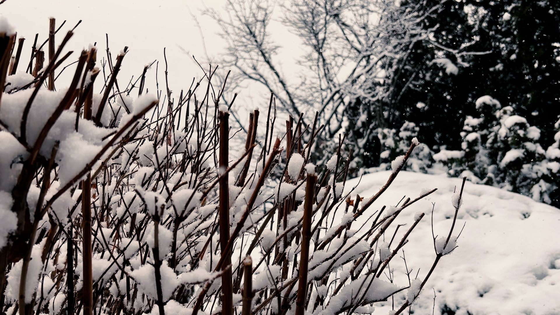 De la sequera a la tempesta De la sequera a la tempesta