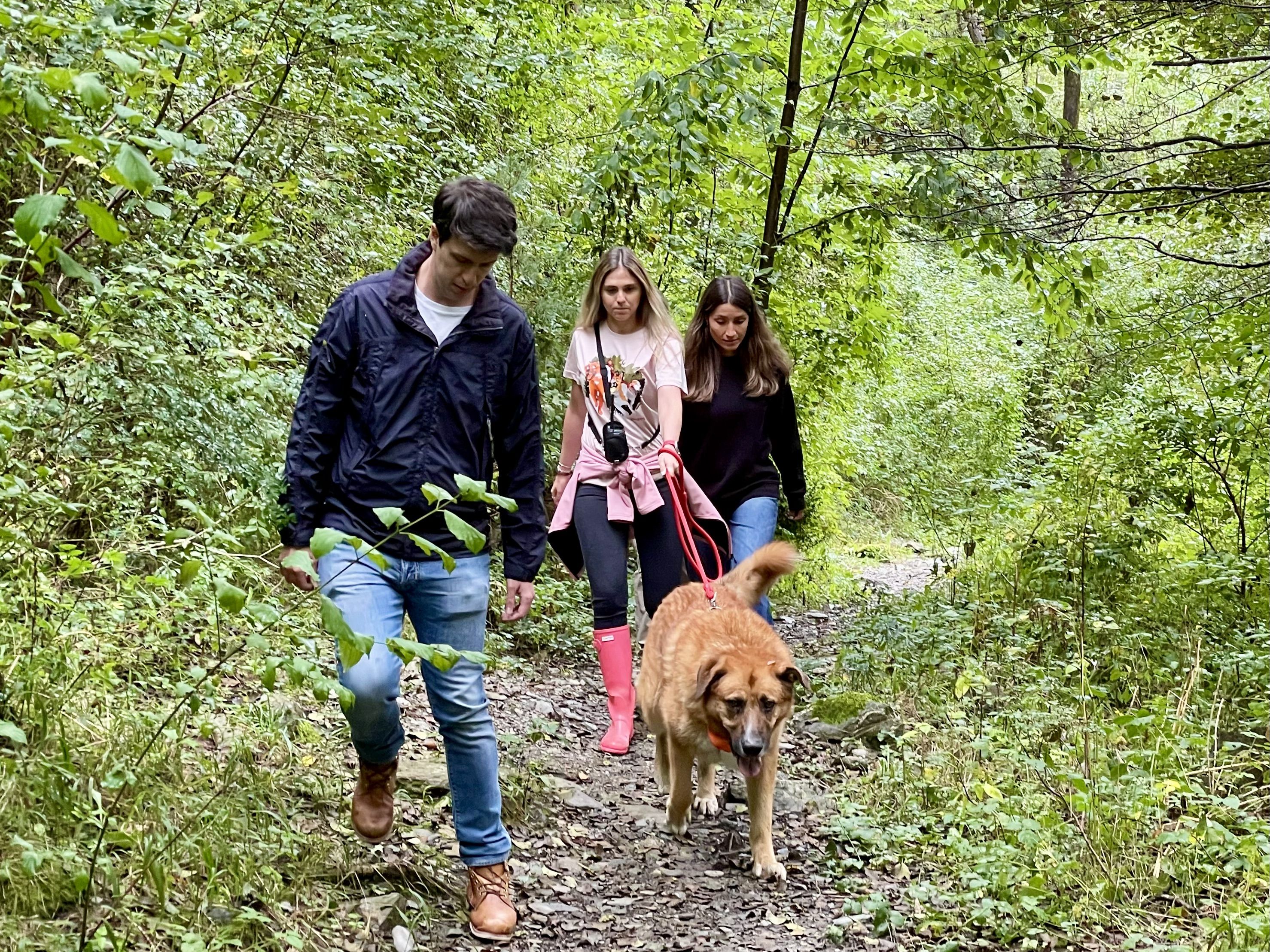 Un dels voluntaris passejant un dels gossos del Centre de Protecció Caní.