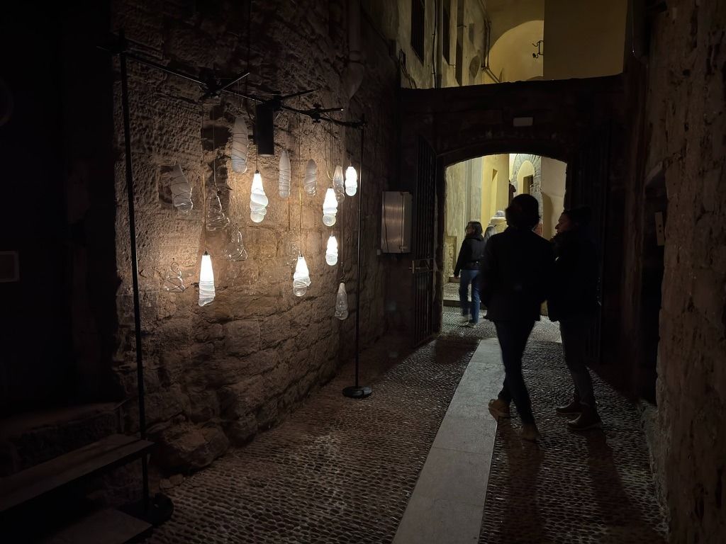 La instal·lació de Luis Machi La instal·lació de Luis Machi