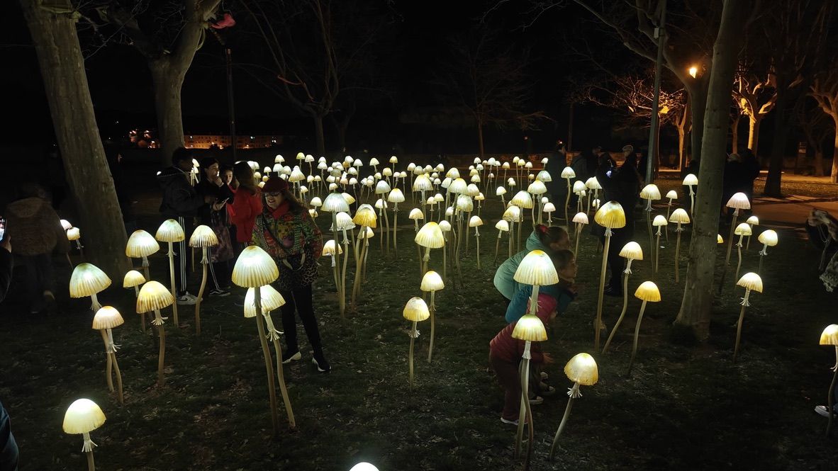 'Ziza' va ser una de les instal·lacions més fotografiades. 'Ziza' va ser una de les instal·lacions més fotografiades.