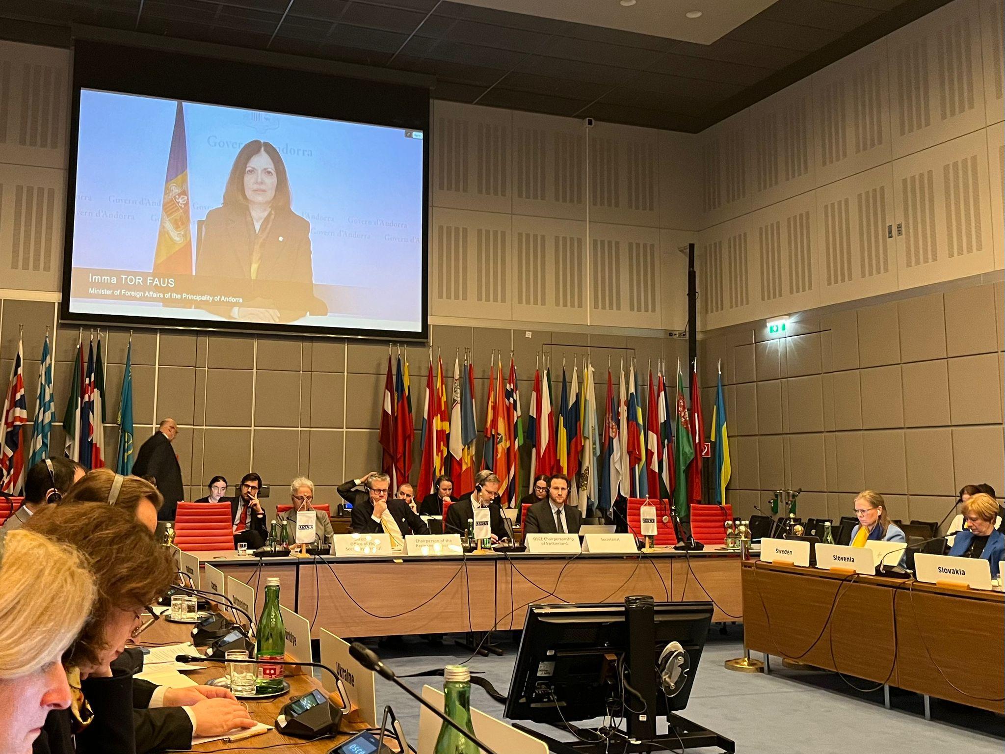 Intervenció telemàtica de la ministra Tor a l'OSCE.