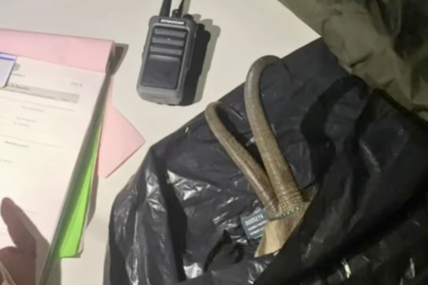 Banyes de l’isard capturat en una imatge difosa per Banders d’Andorra. Banyes de l’isard capturat en una imatge difosa per Banders d’Andorra.