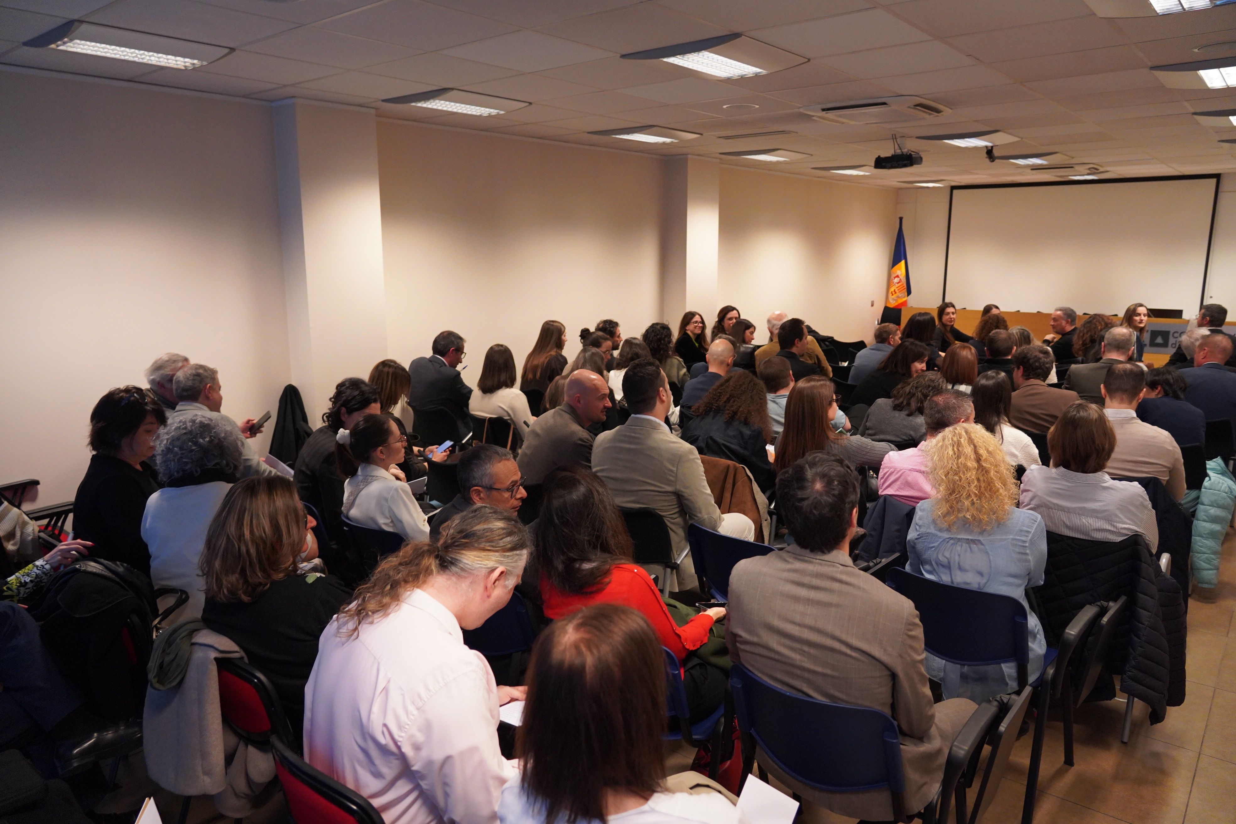 La sala plena. La sala plena.