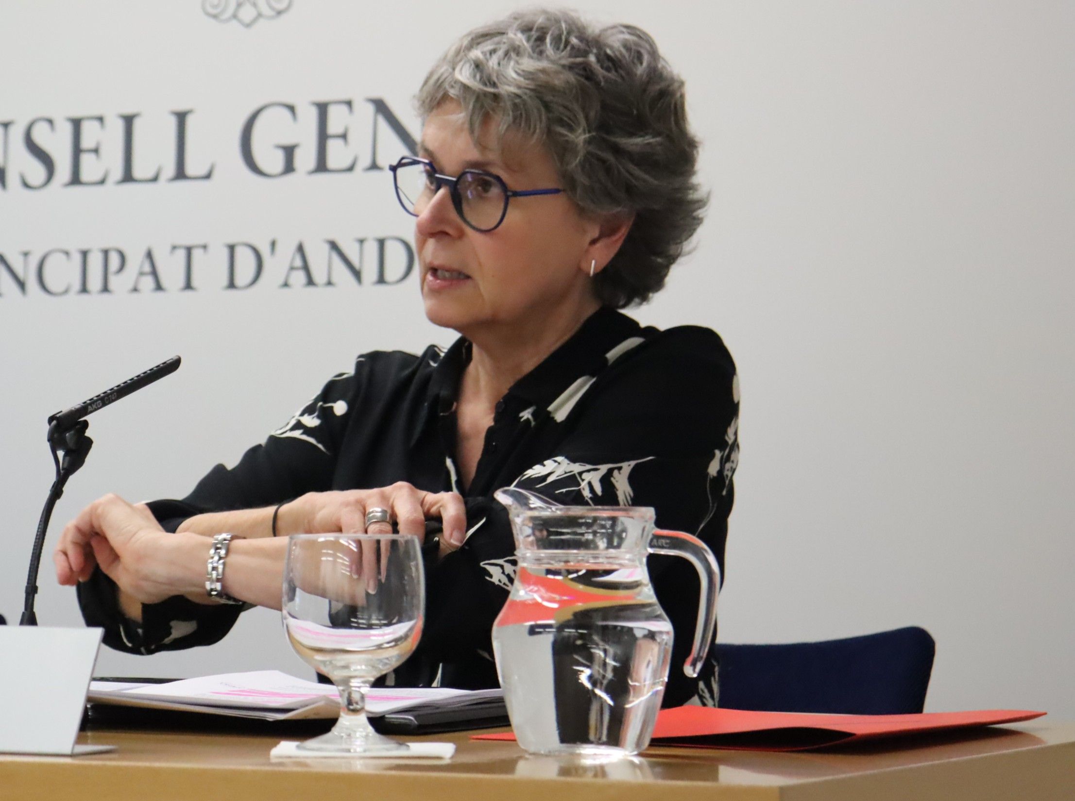 La presidenta del grup parlamentari socialdemòcrata, Susanna Vela.