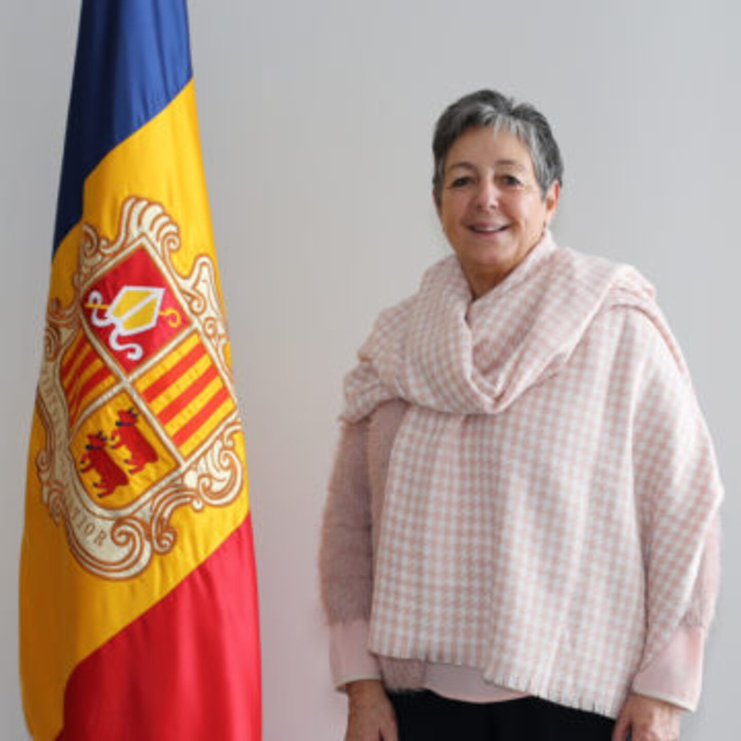 Rosa Maria Mandicó és actualment presidenta del GESCO.