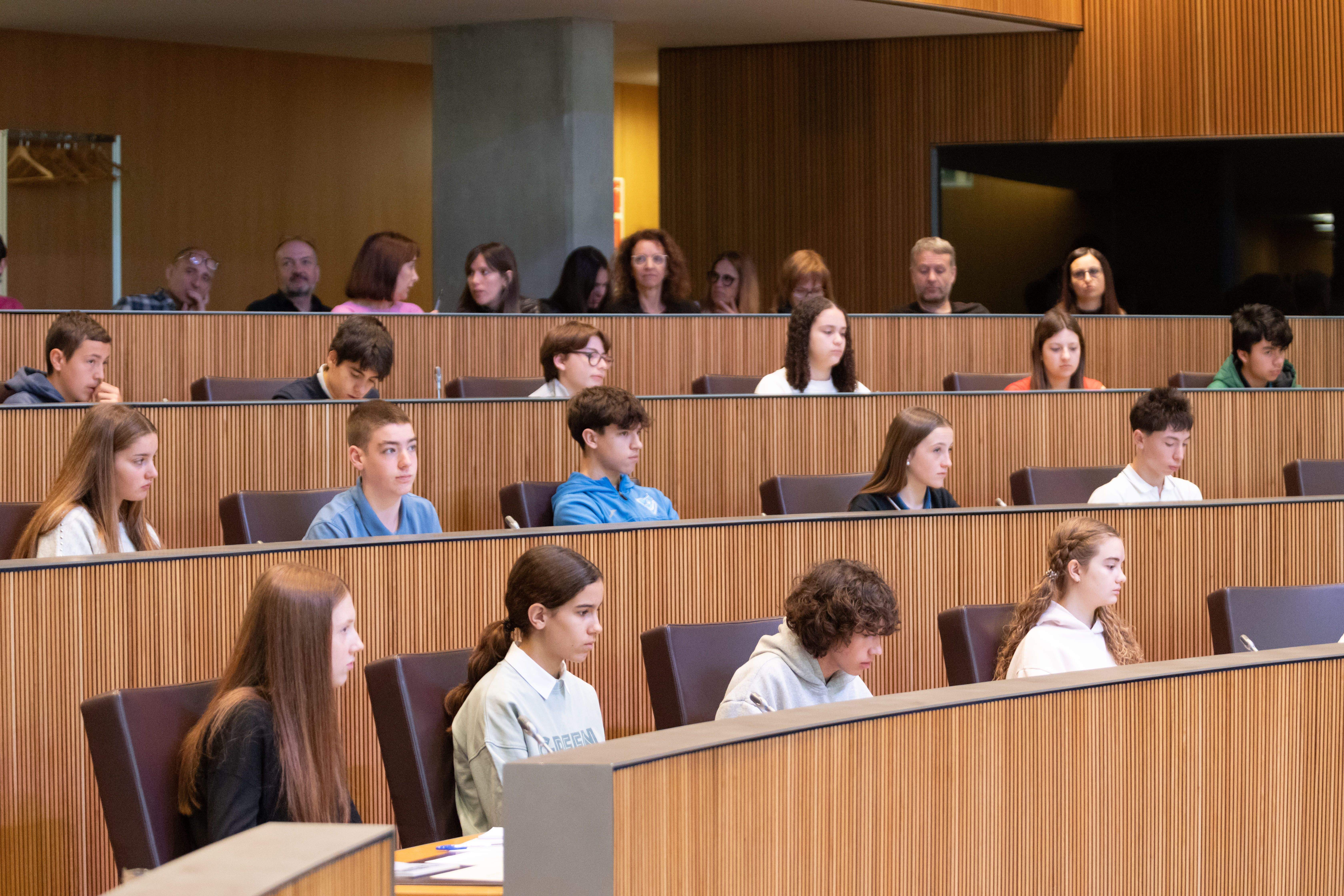 Un moment del ple de la 23a edició del Consell de Joves, l'any passat.