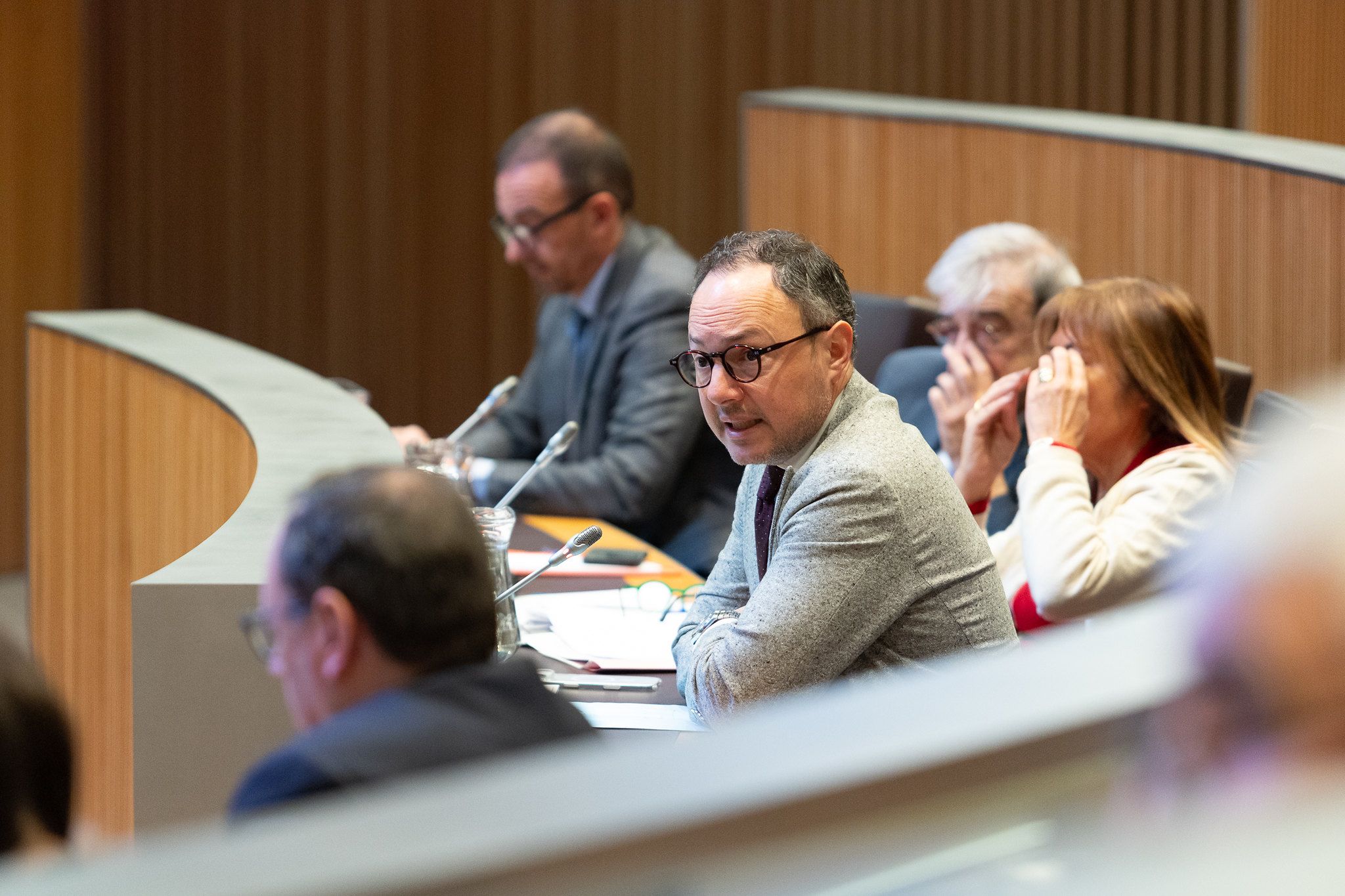 Xavier Espot intervenint al Consell General aquest matí.