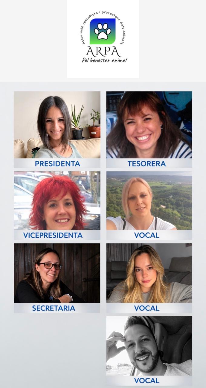 WhatsApp Image 2026 03 13 at 22.52.32