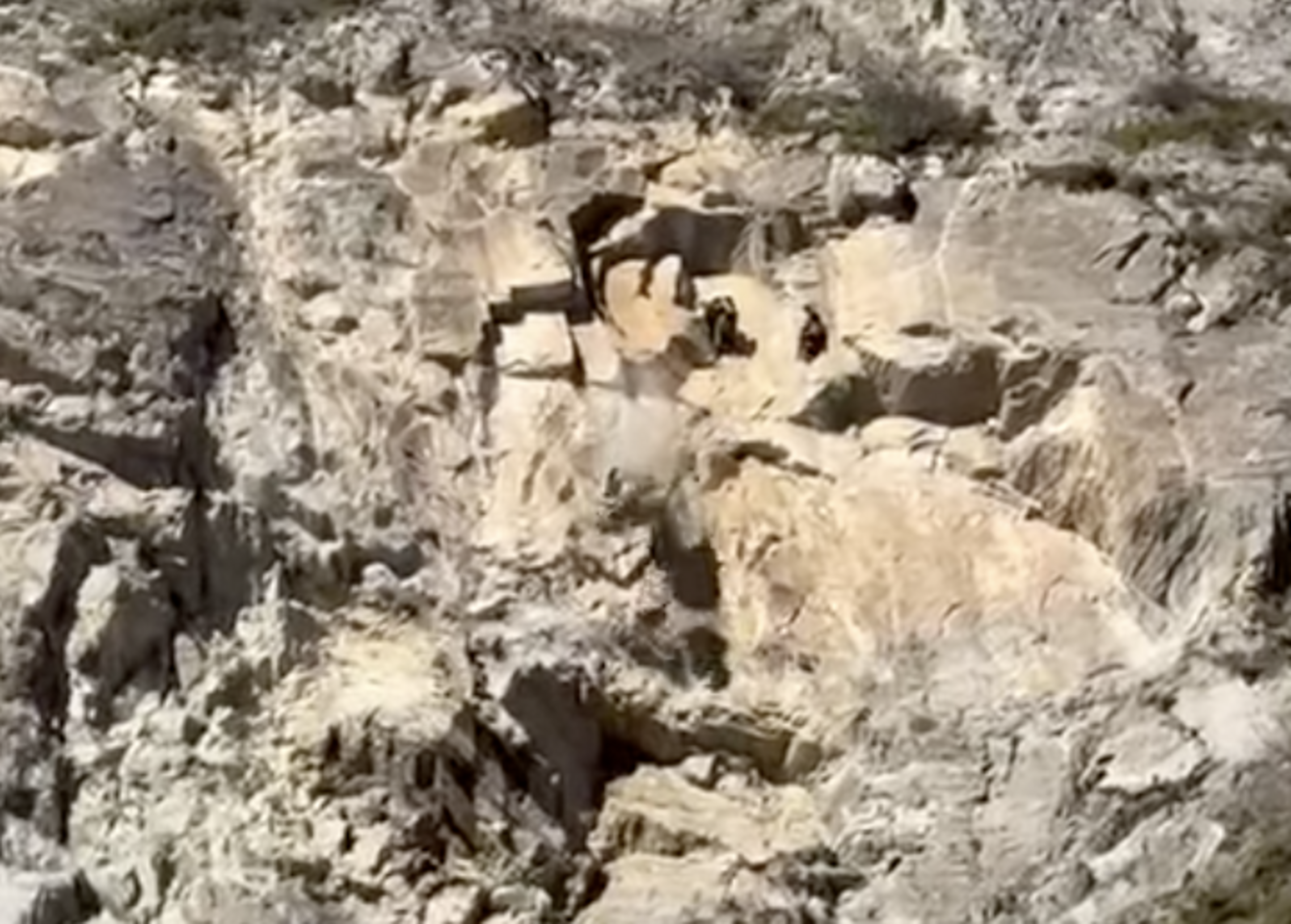 La penya on s'estan fent els treballs.