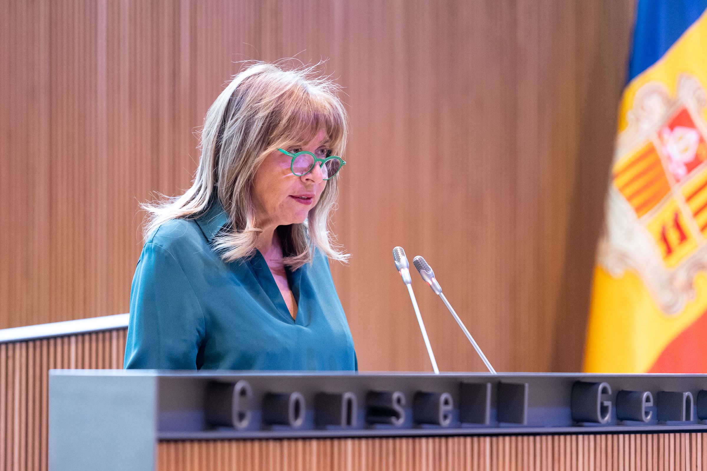 Marsol, durant la seva intervenció.