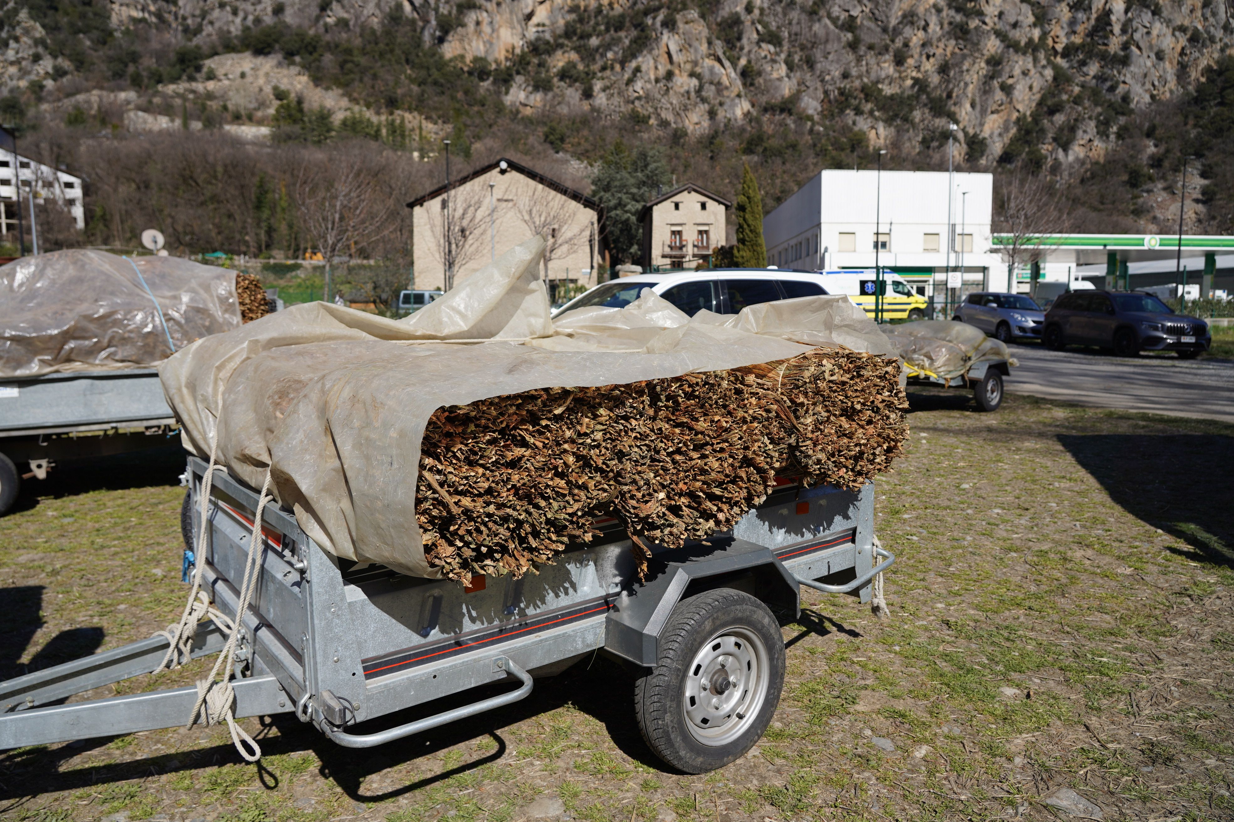 Un remolc amb fardells de tabac. Un remolc amb fardells de tabac.