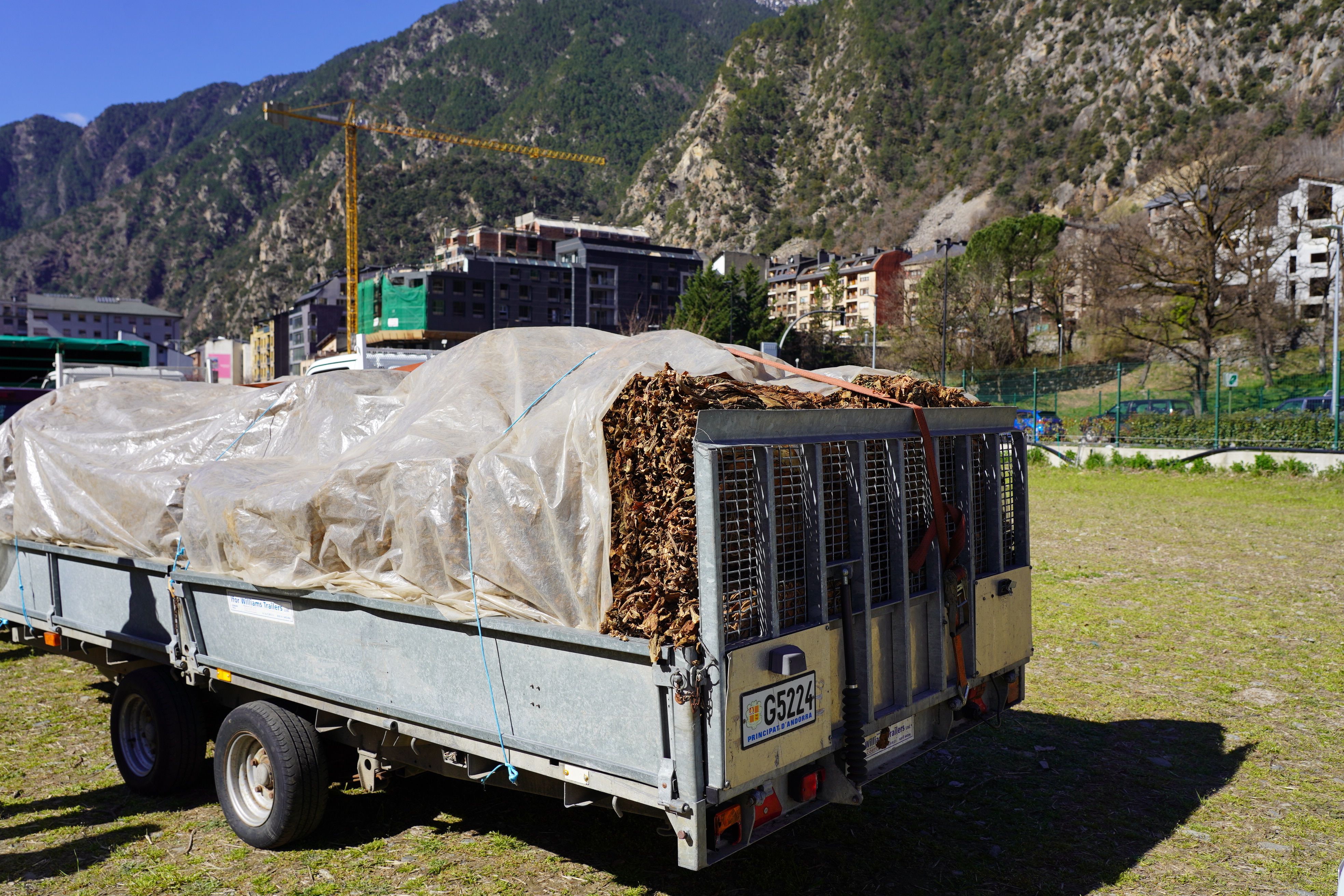 Un remolc amb fardells de tabac.