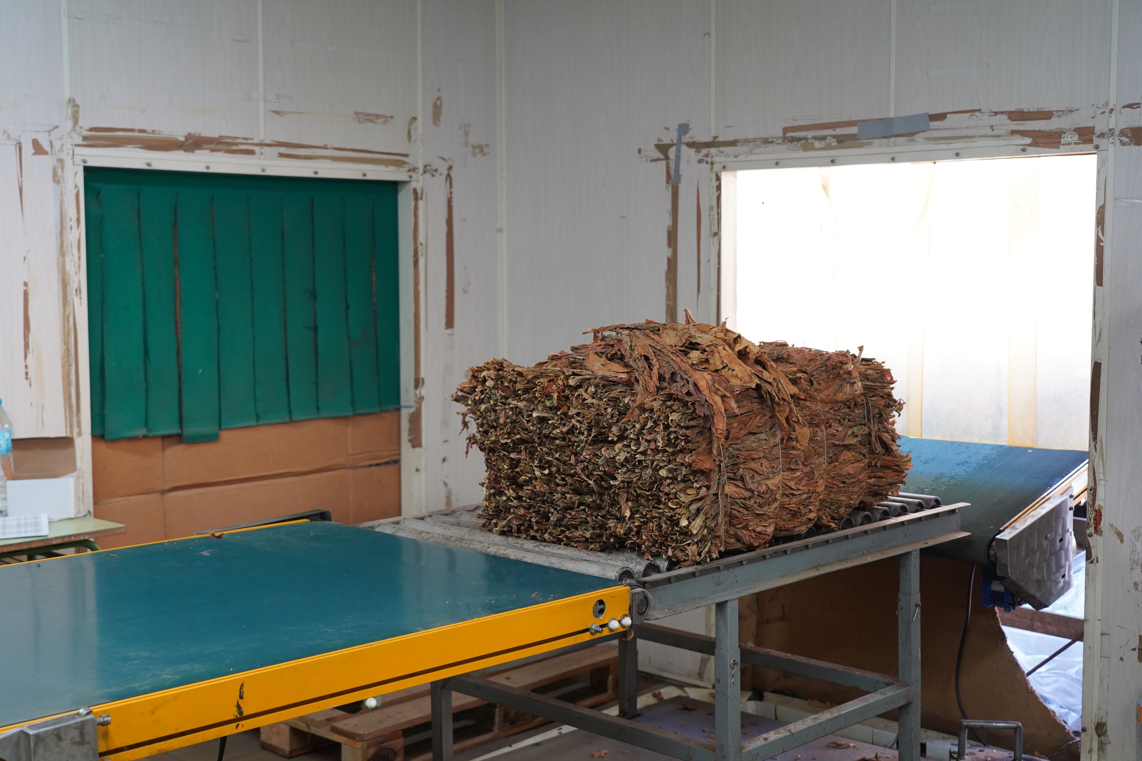 Un fardell de tabac a punt d’avaluar aquest matí a la Borda Mateu. Un fardell de tabac a punt d’avaluar aquest matí a la Borda Mateu.