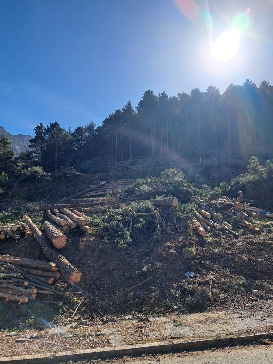 WhatsApp Image 2026 03 20 at 11.46.43