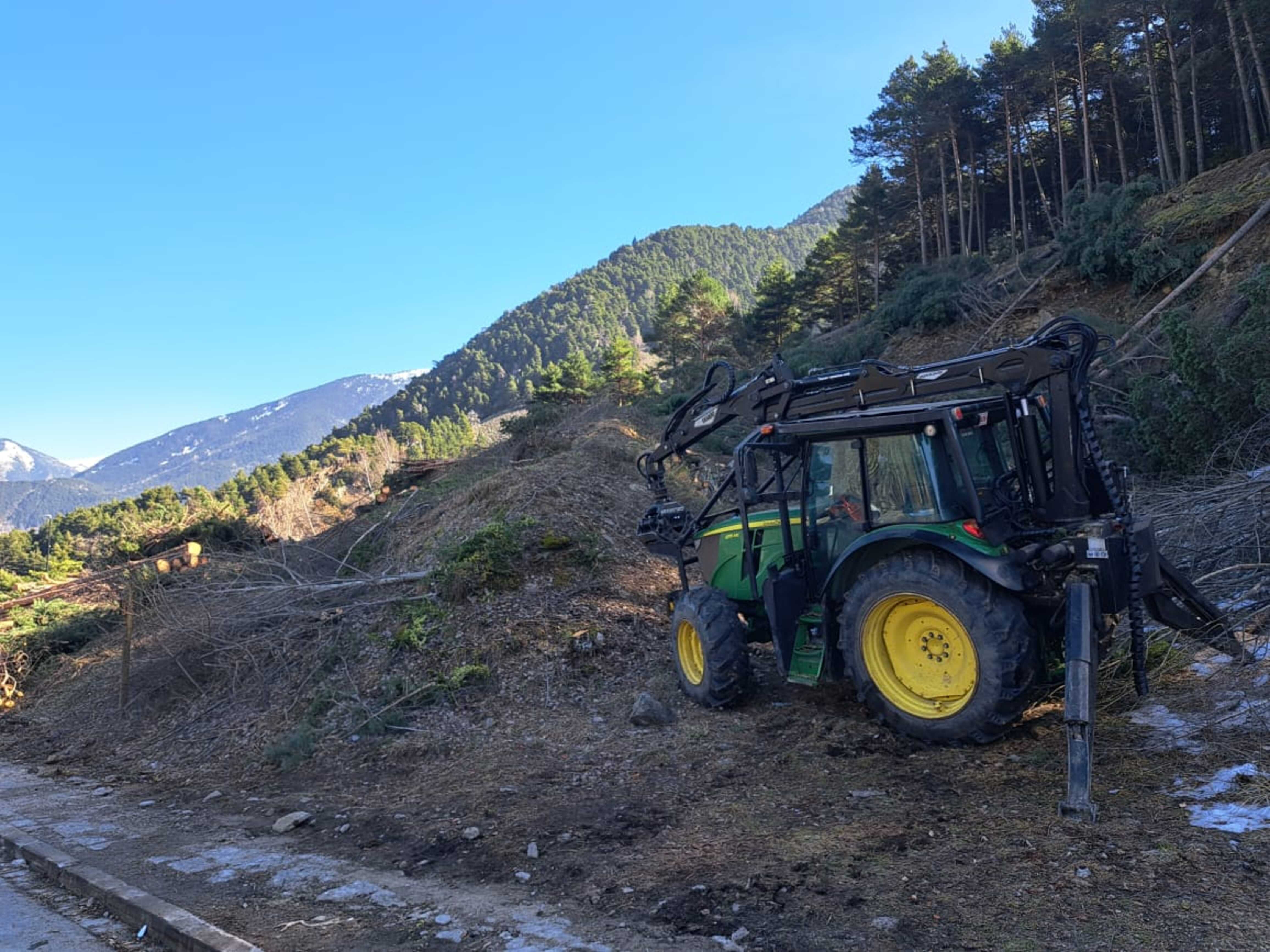 Maquinària treballant en la retirada dels arbres talats.