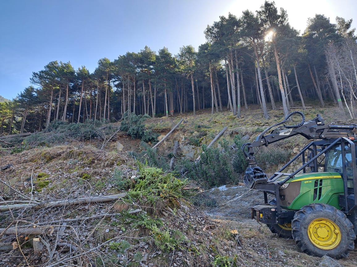 WhatsApp Image 2026 03 20 at 11.46.42 (1) WhatsApp Image 2026 03 20 at 11.46.42 (1)