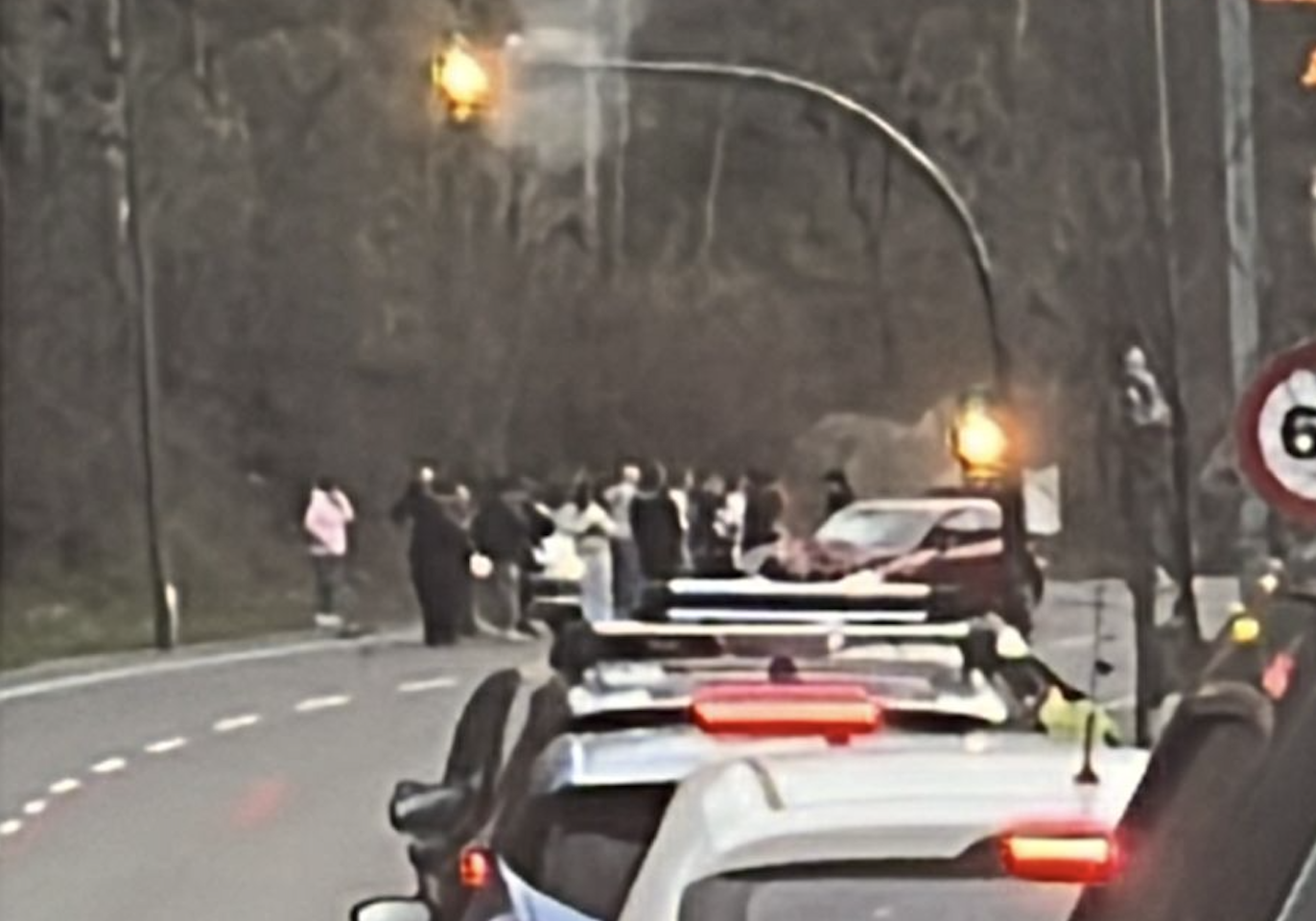 Diversos conductors han sortit dels cotxes per atendre als implicats. 