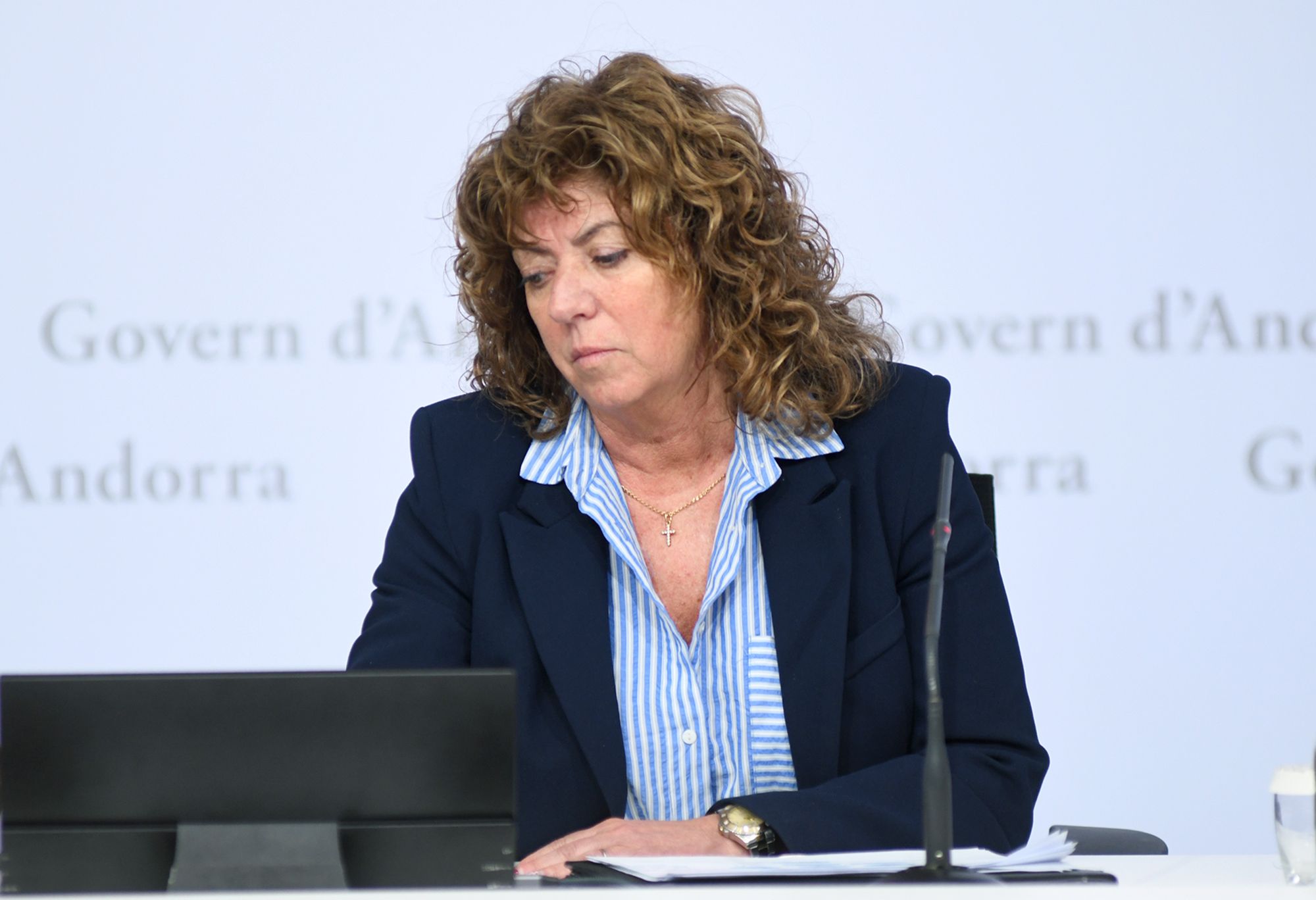 La cap d’àrea de Serveis Sociosanitaris, Montserrat Gil, durant la presentació.