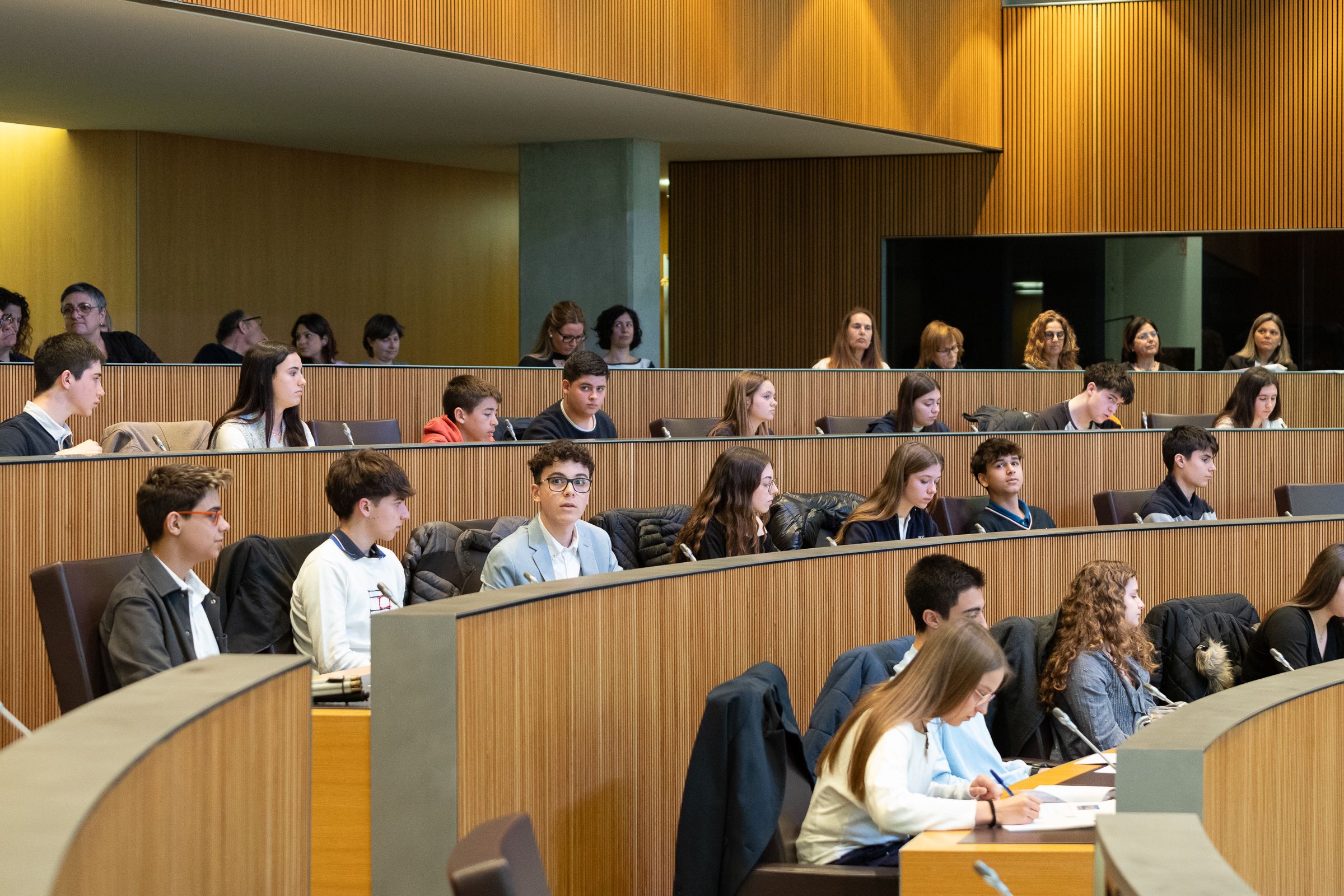 Sessió del 24è Consell General dels Joves.