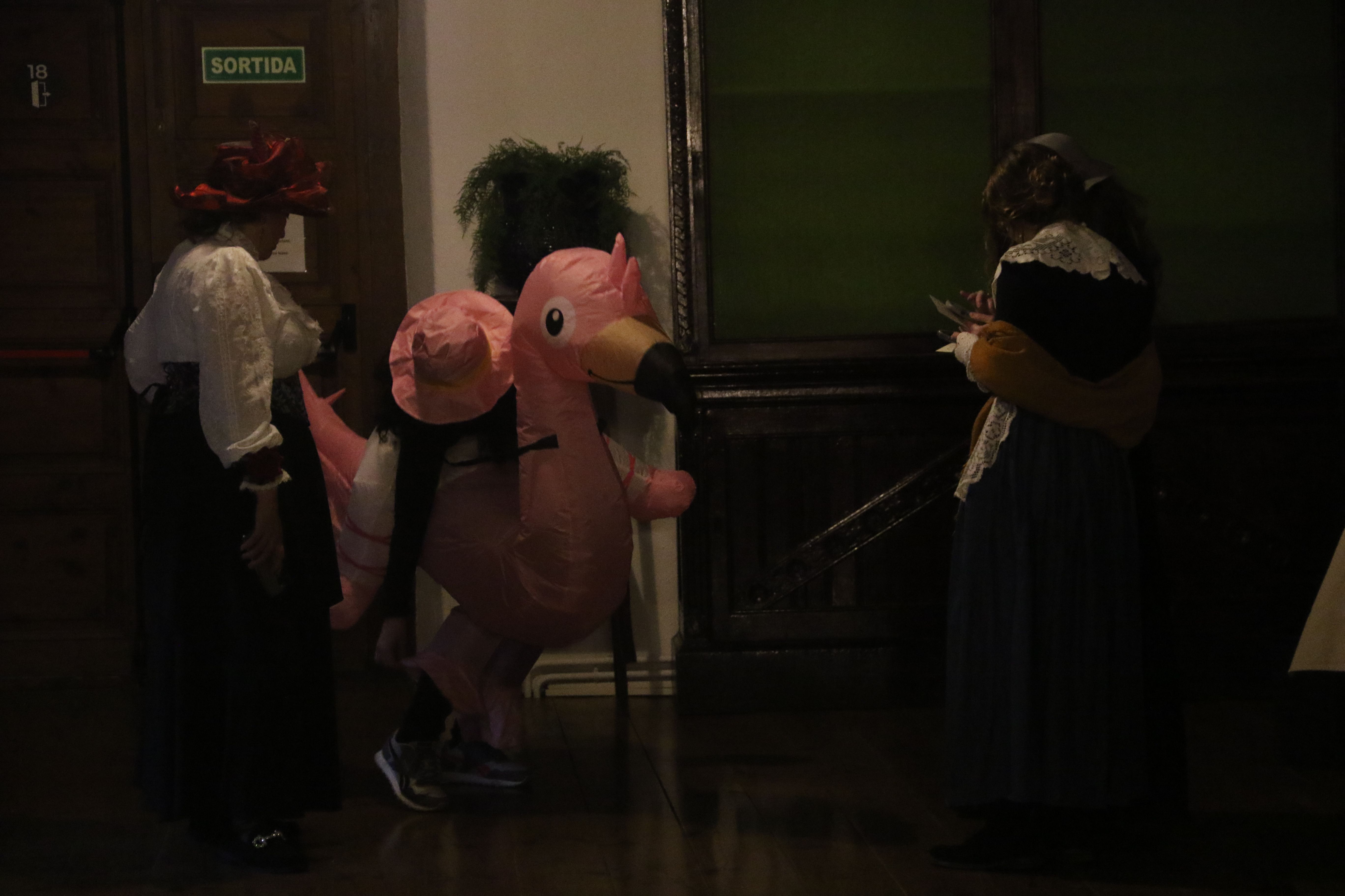 El flamenc que ha sorprès molts dels visitants. El flamenc que ha sorprès molts dels visitants.