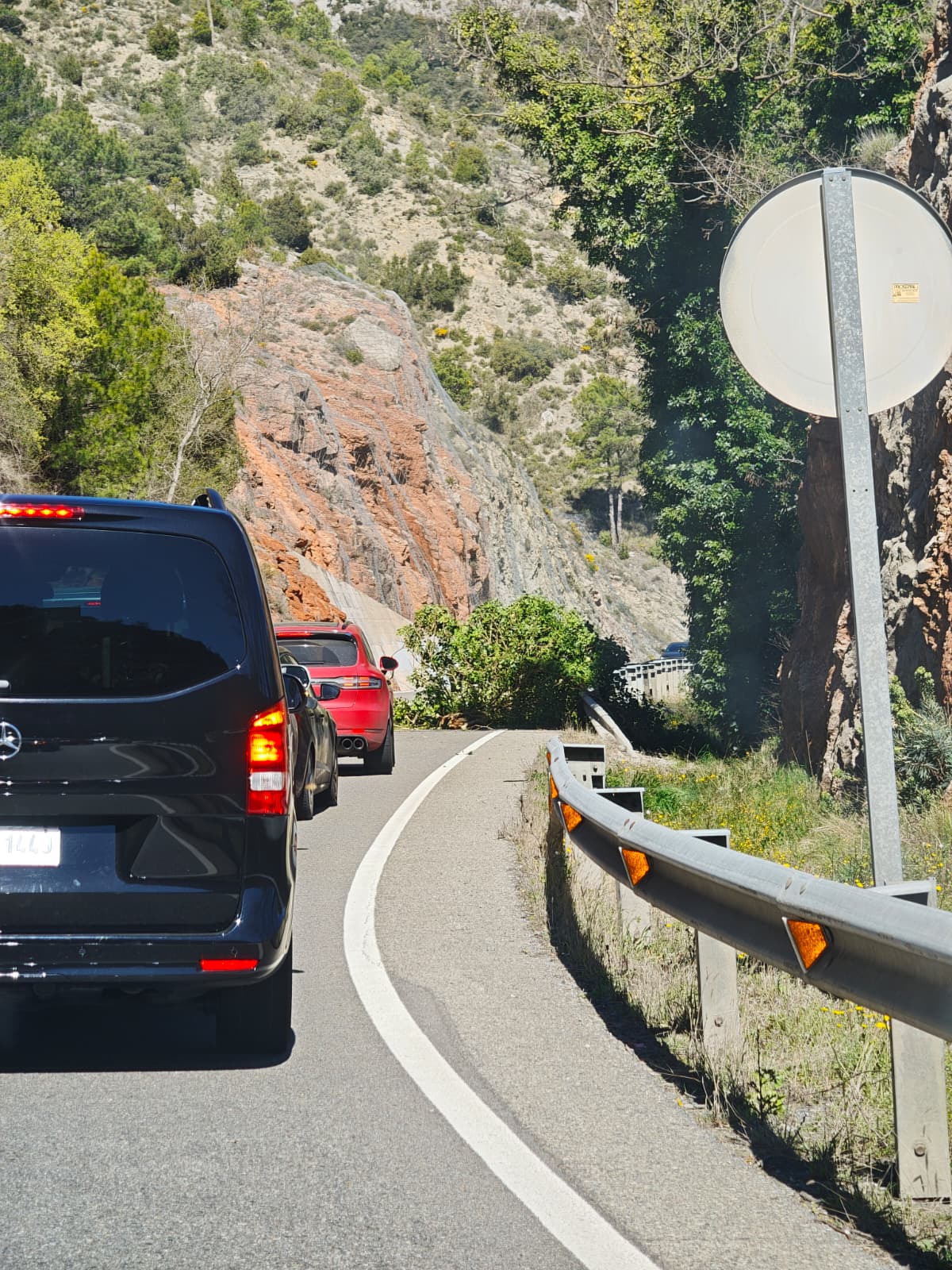 Un arbre ha caigut al bell mig de la carretera a l'altura de Coll de Nargó.