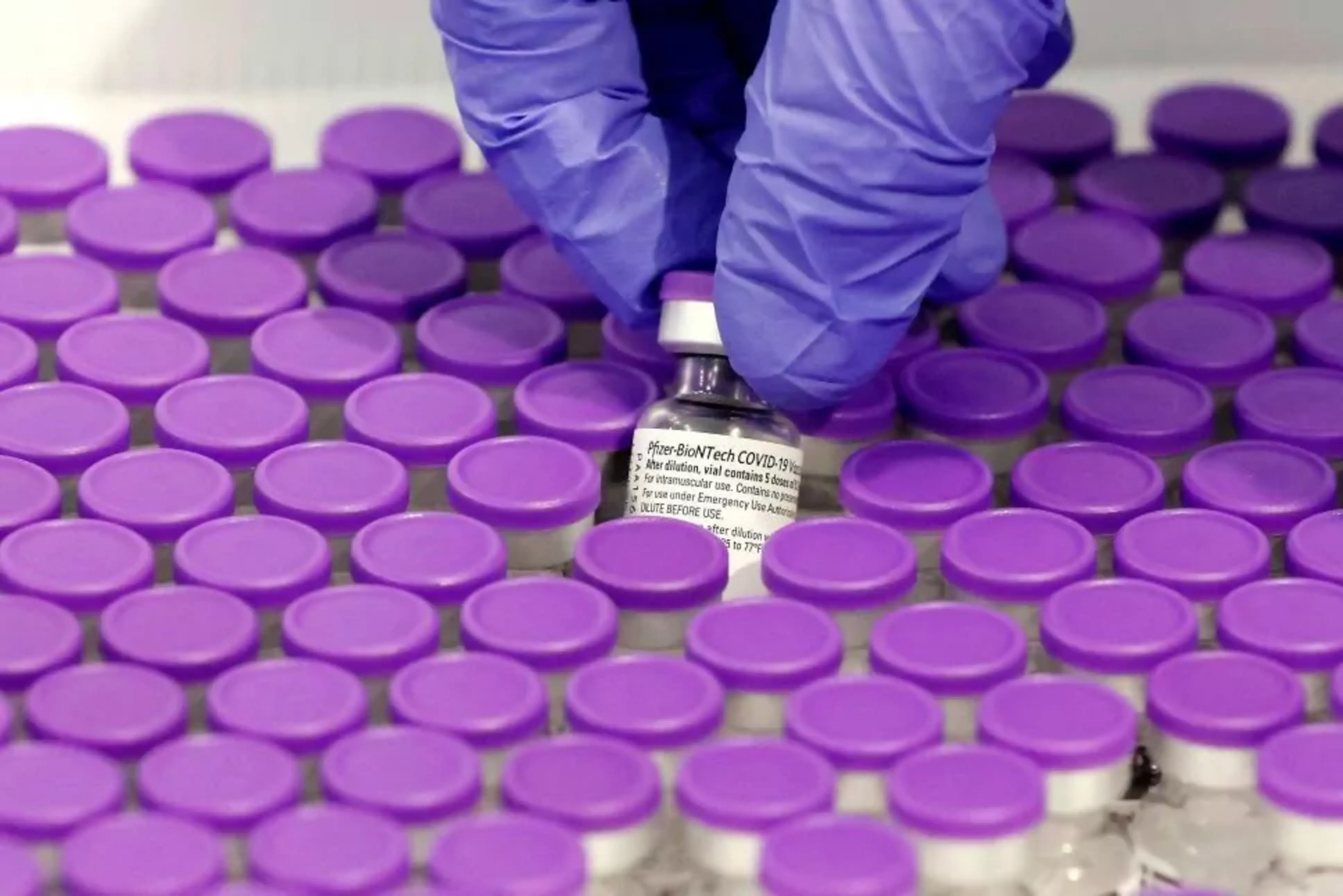 Vacunes de la farmacèutica Pfizer/Biontech.