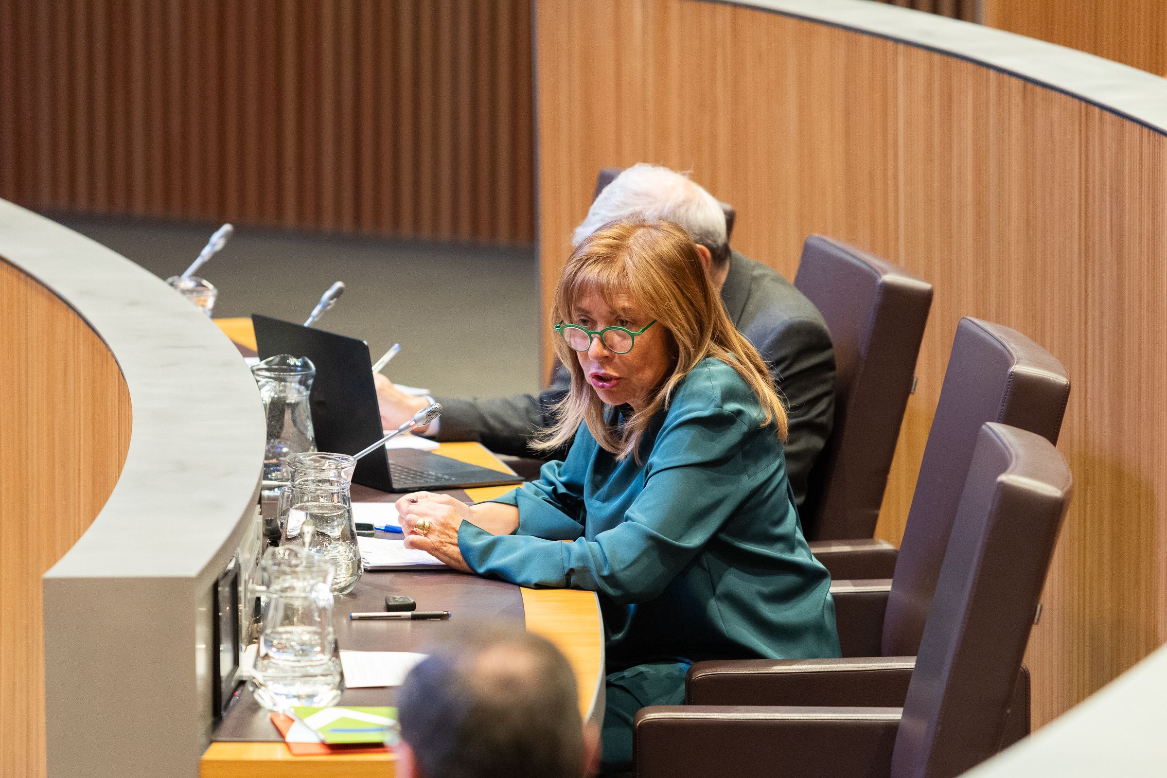 Marsol durant la seva intervenció al Consell General.