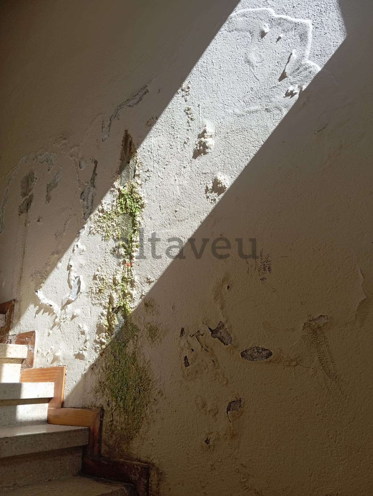 Humitats en un dels replans.