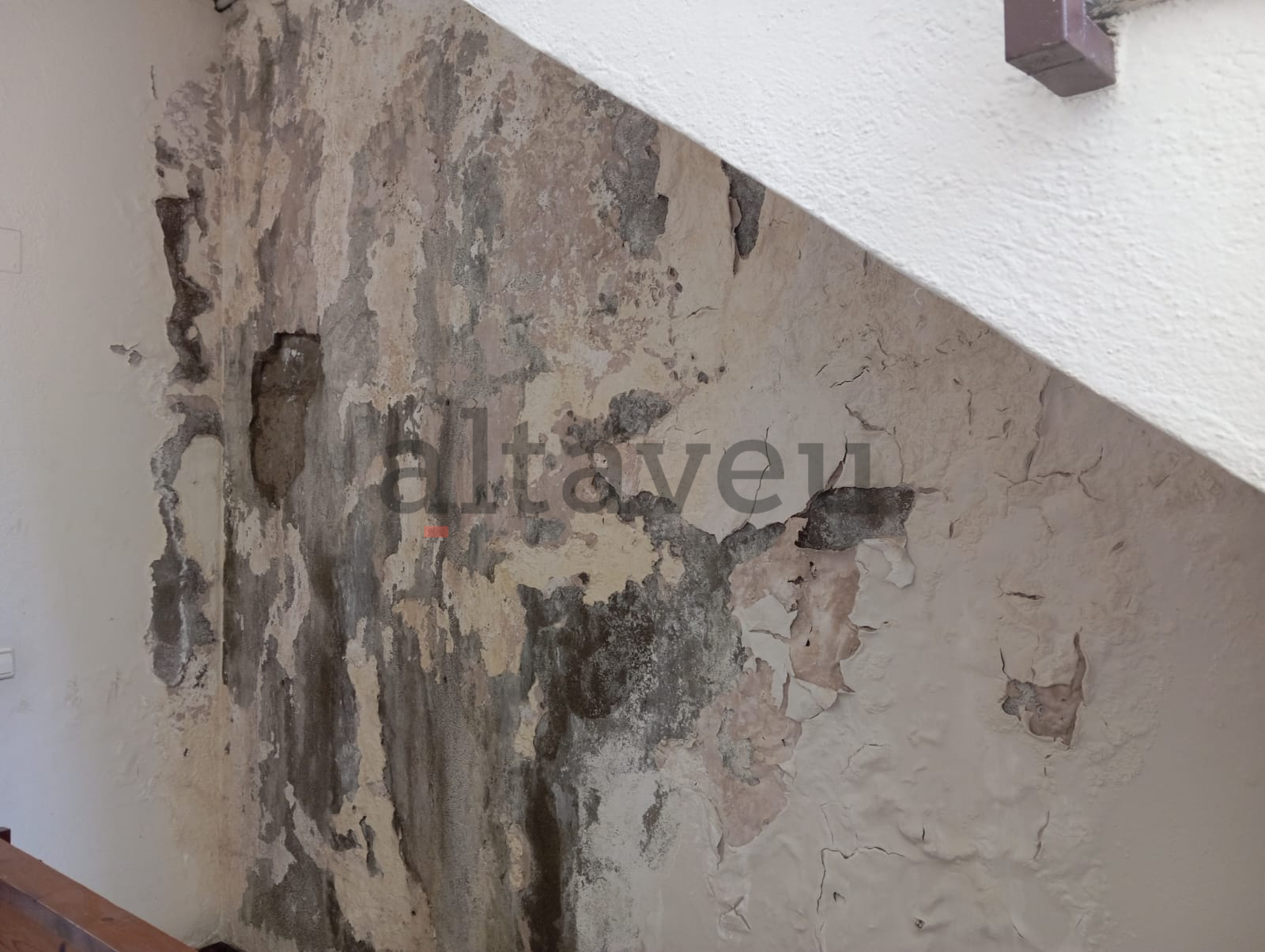 Humitats en un dels replans.