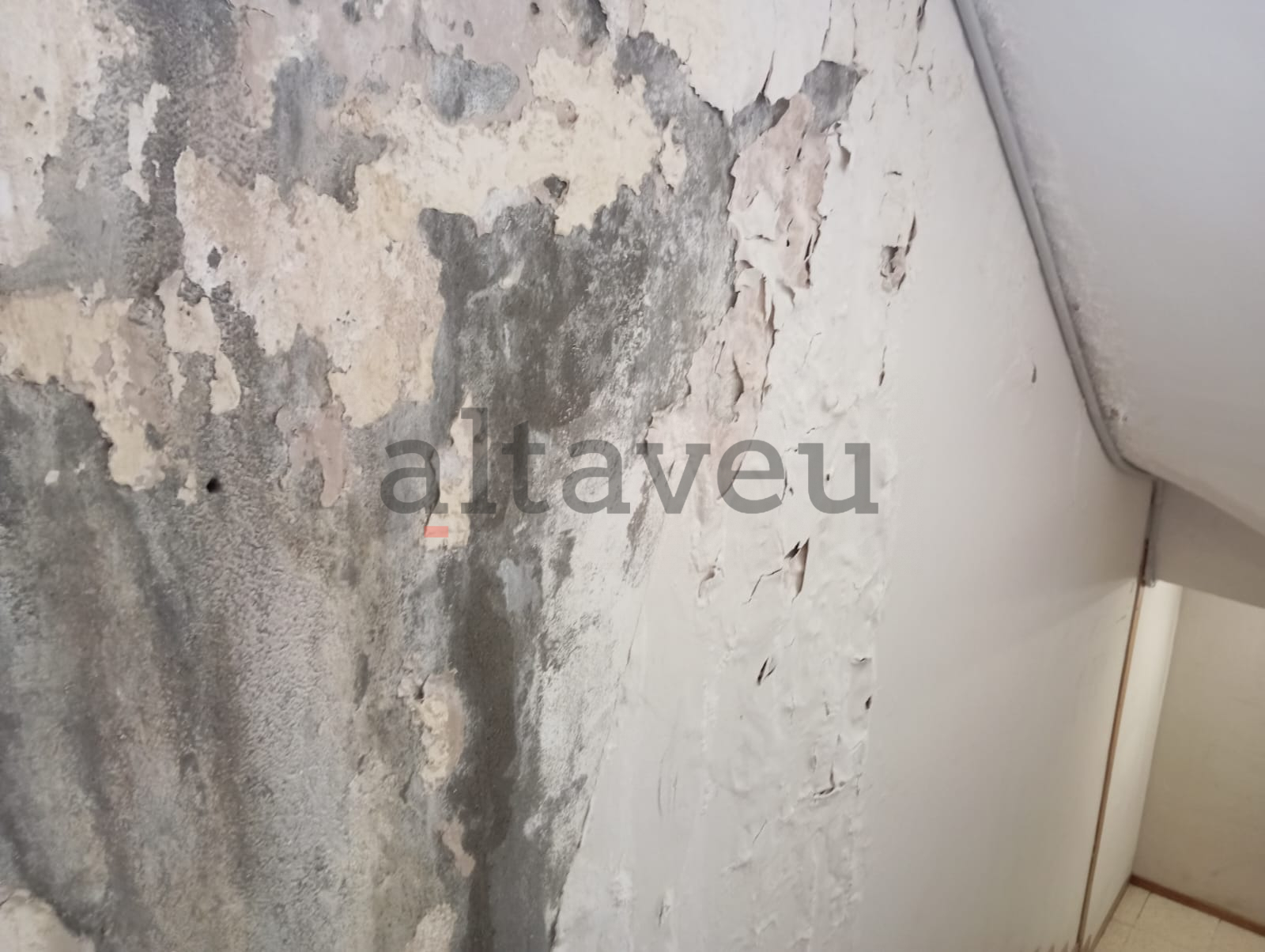 Humitats en un dels replans.