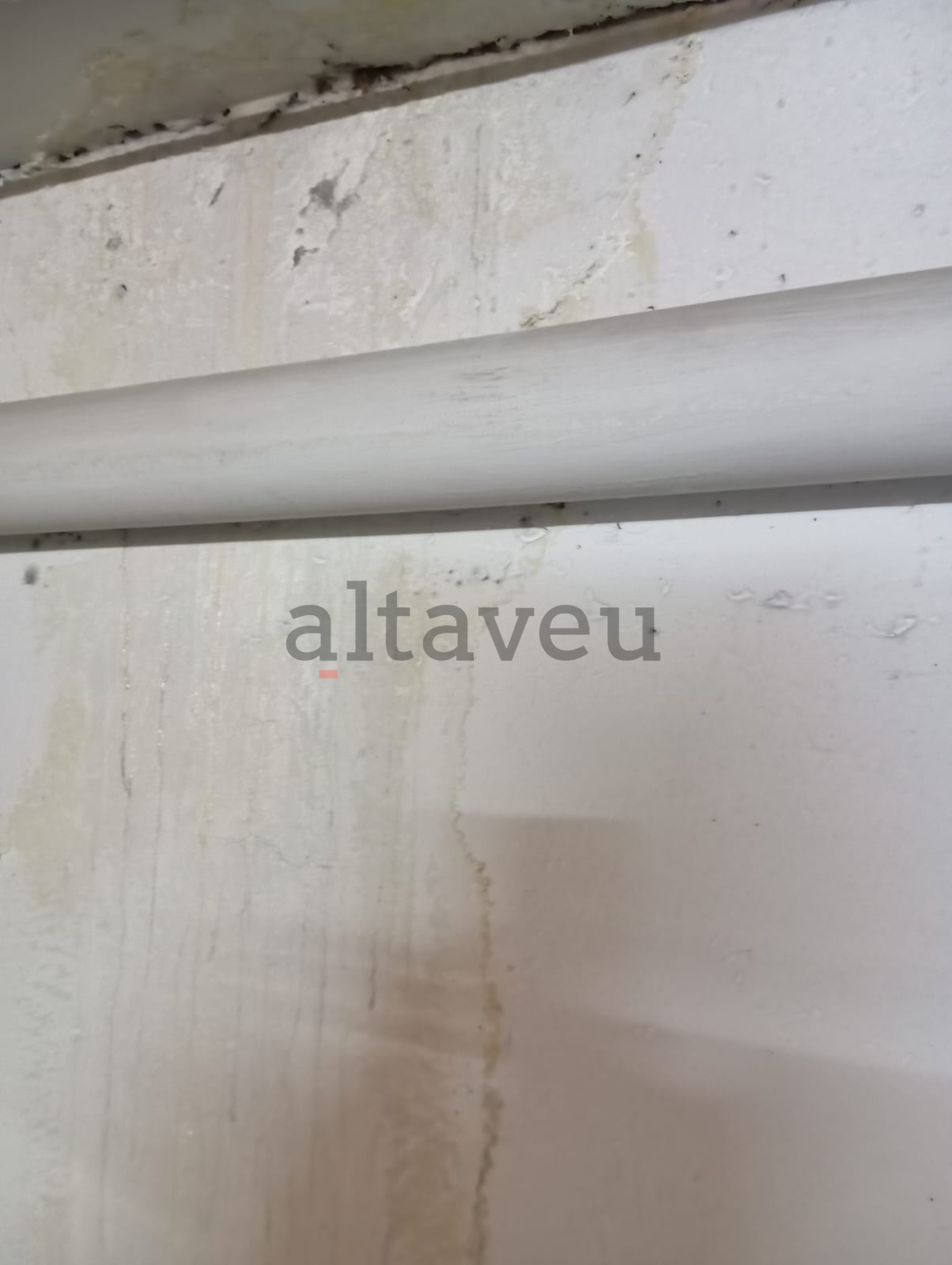 Mullena en un dels aparcaments.