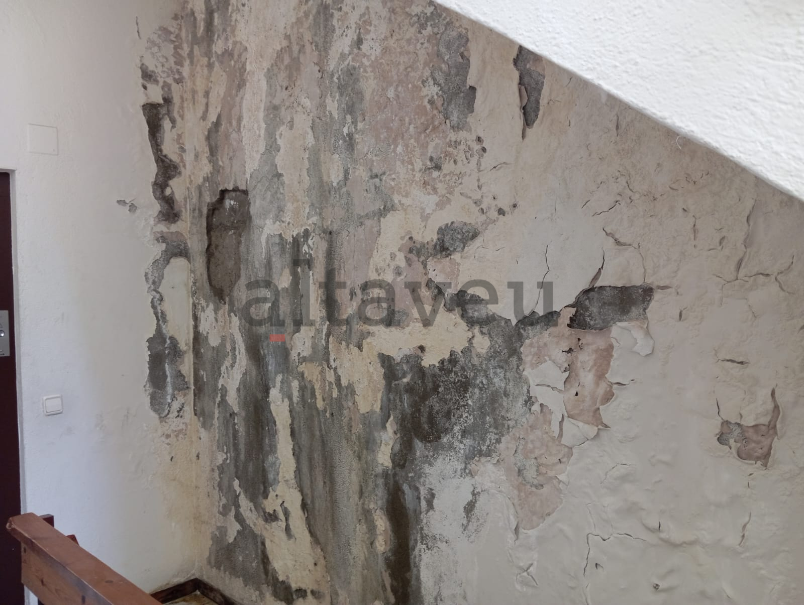 Humitats en un dels replans.